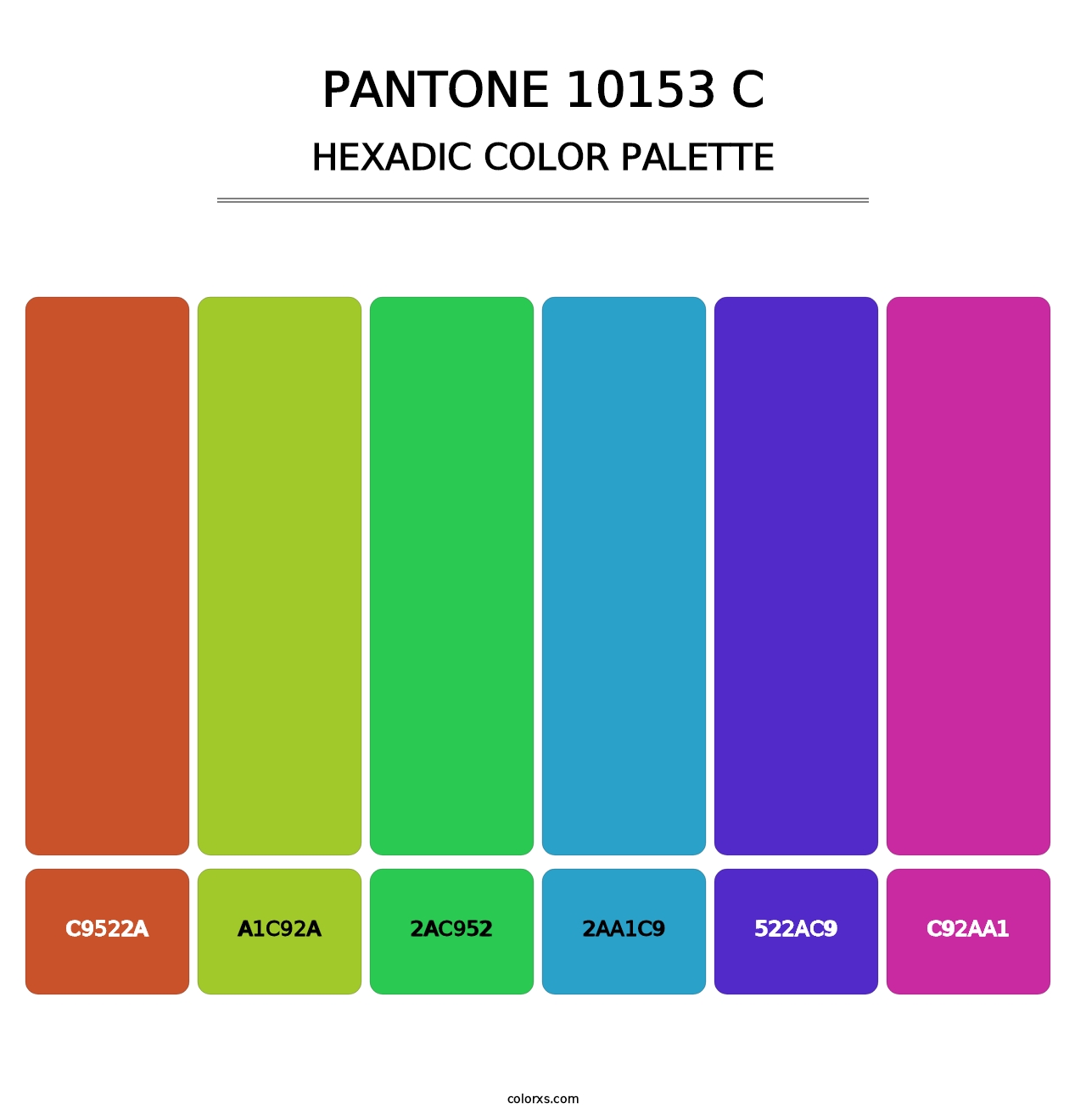 PANTONE 10153 C - Hexadic Color Palette