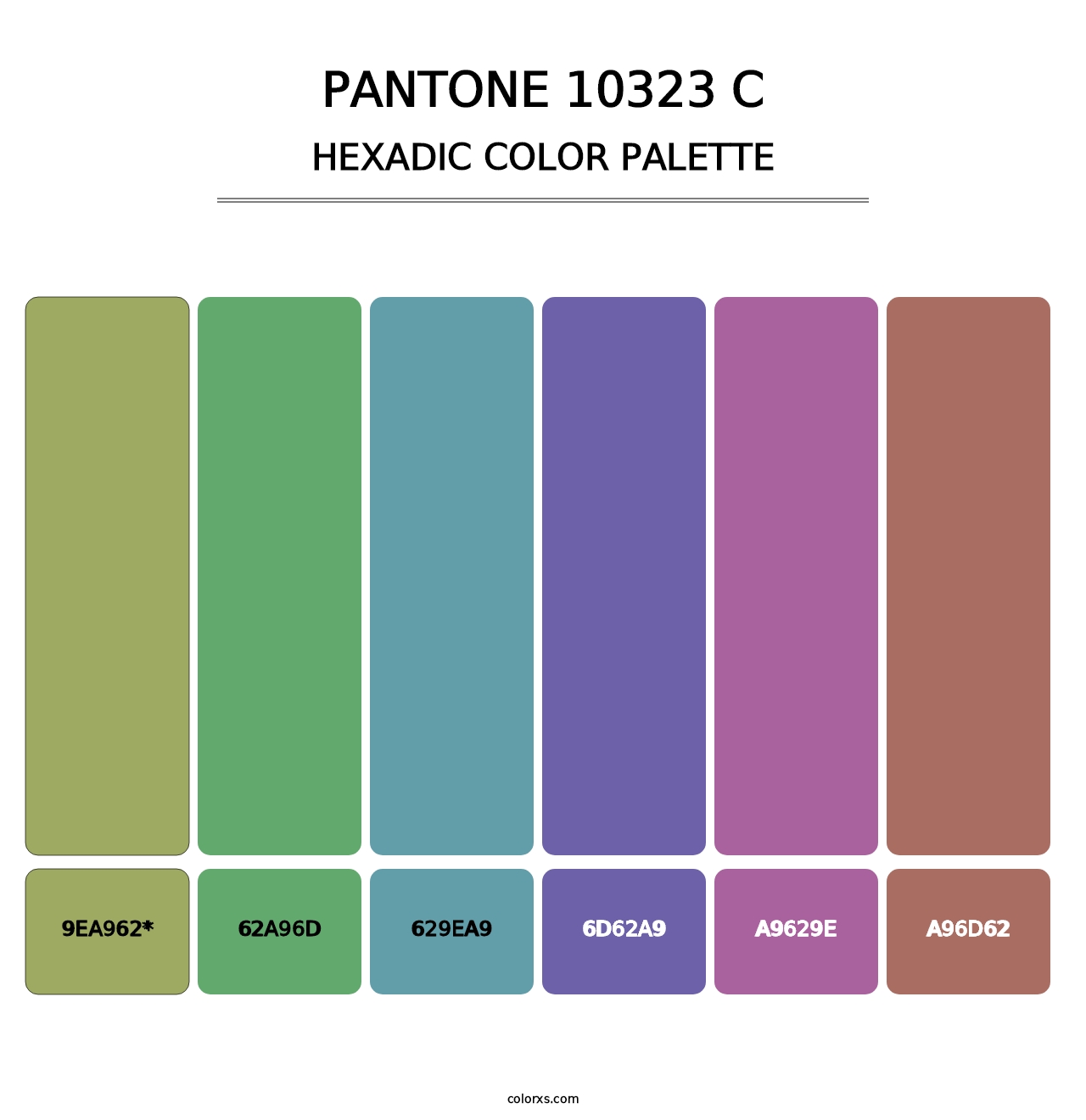 PANTONE 10323 C - Hexadic Color Palette