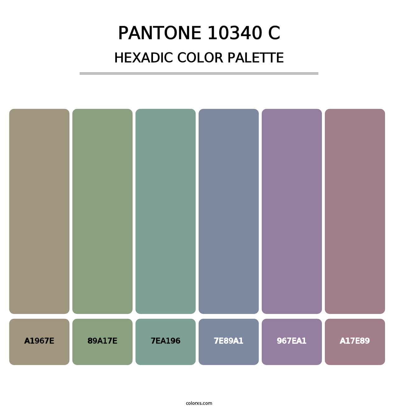 PANTONE 10340 C - Hexadic Color Palette