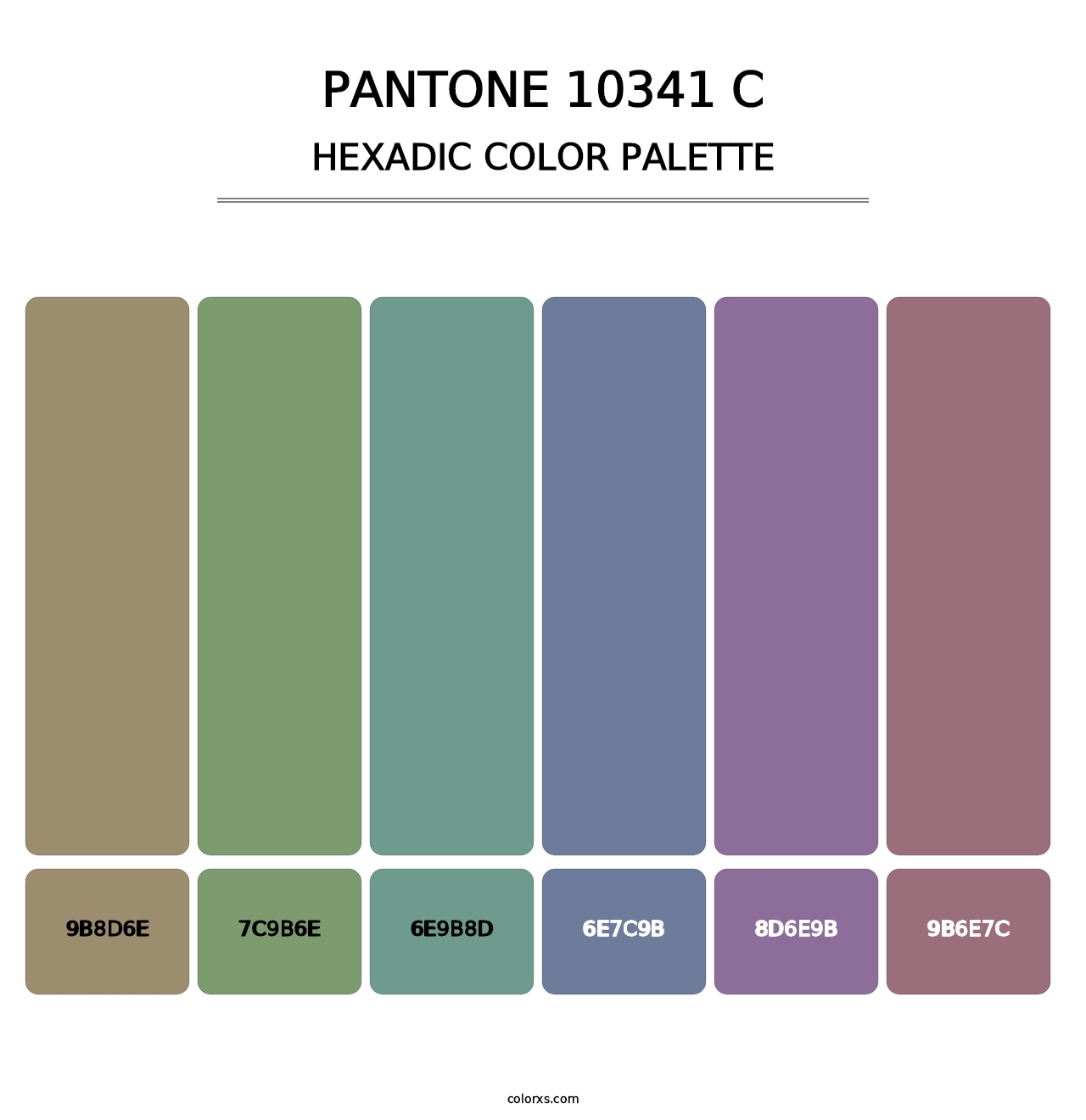 PANTONE 10341 C - Hexadic Color Palette