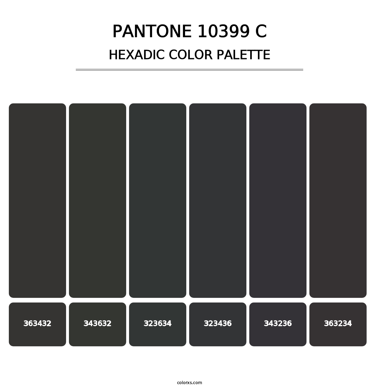 PANTONE 10399 C - Hexadic Color Palette