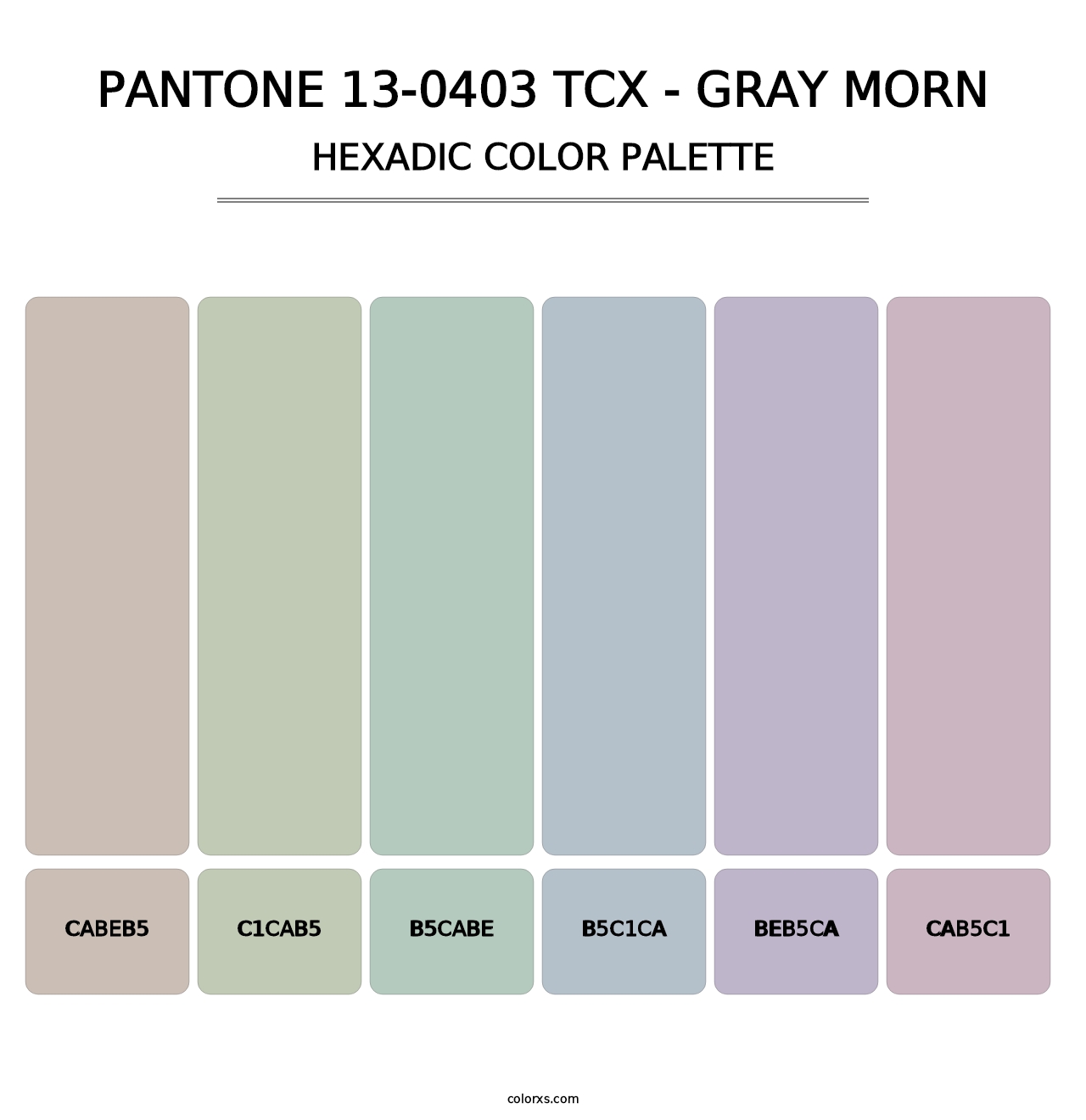 PANTONE 13-0403 TCX - Gray Morn - Hexadic Color Palette