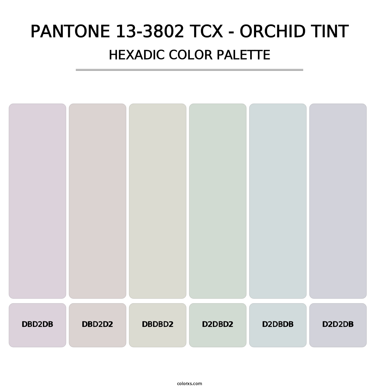 PANTONE 13-3802 TCX - Orchid Tint - Hexadic Color Palette