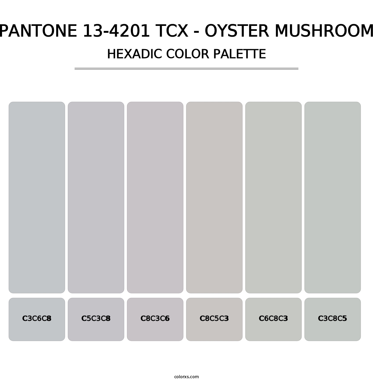 PANTONE 13-4201 TCX - Oyster Mushroom - Hexadic Color Palette