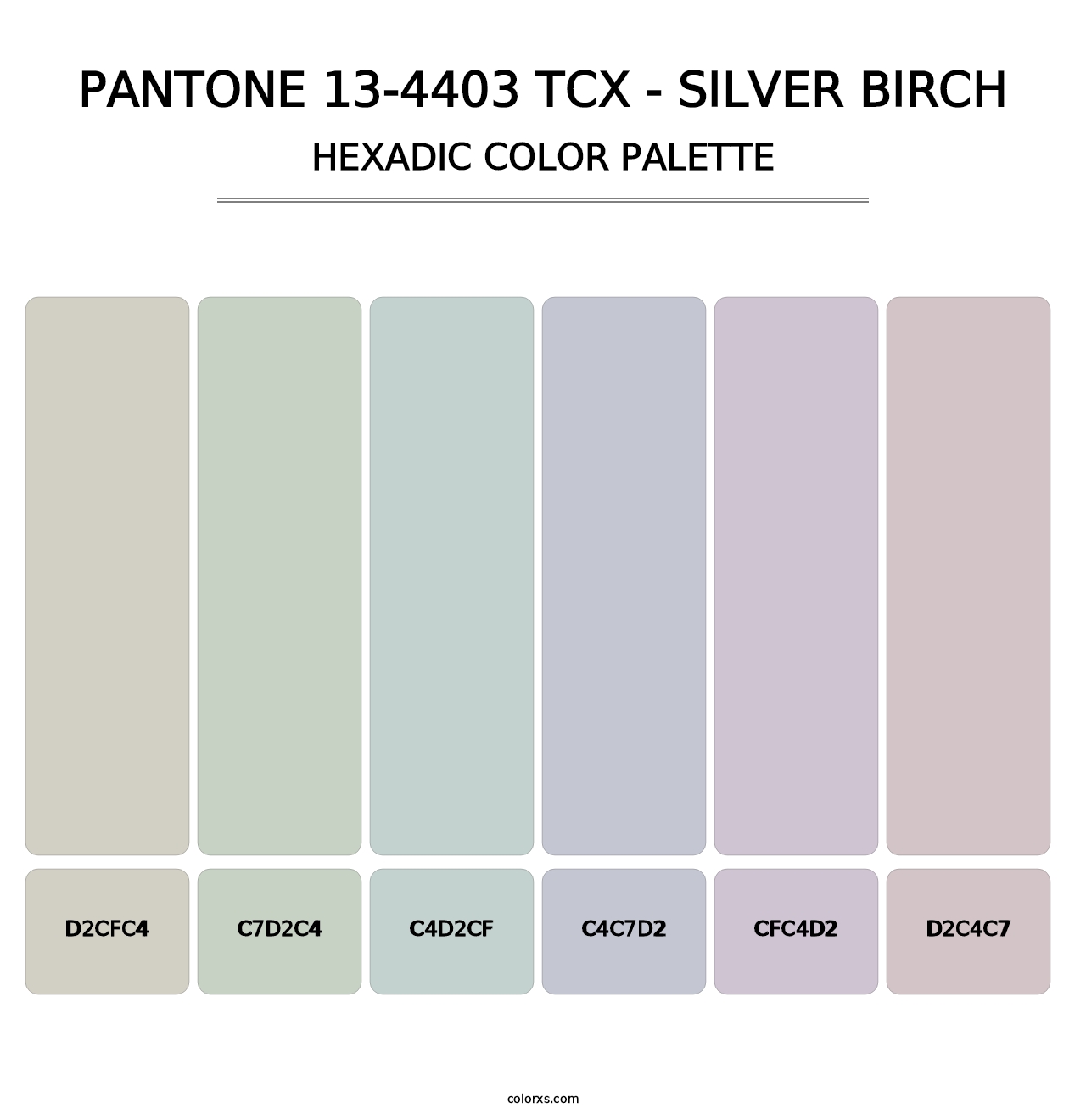 PANTONE 13-4403 TCX - Silver Birch - Hexadic Color Palette