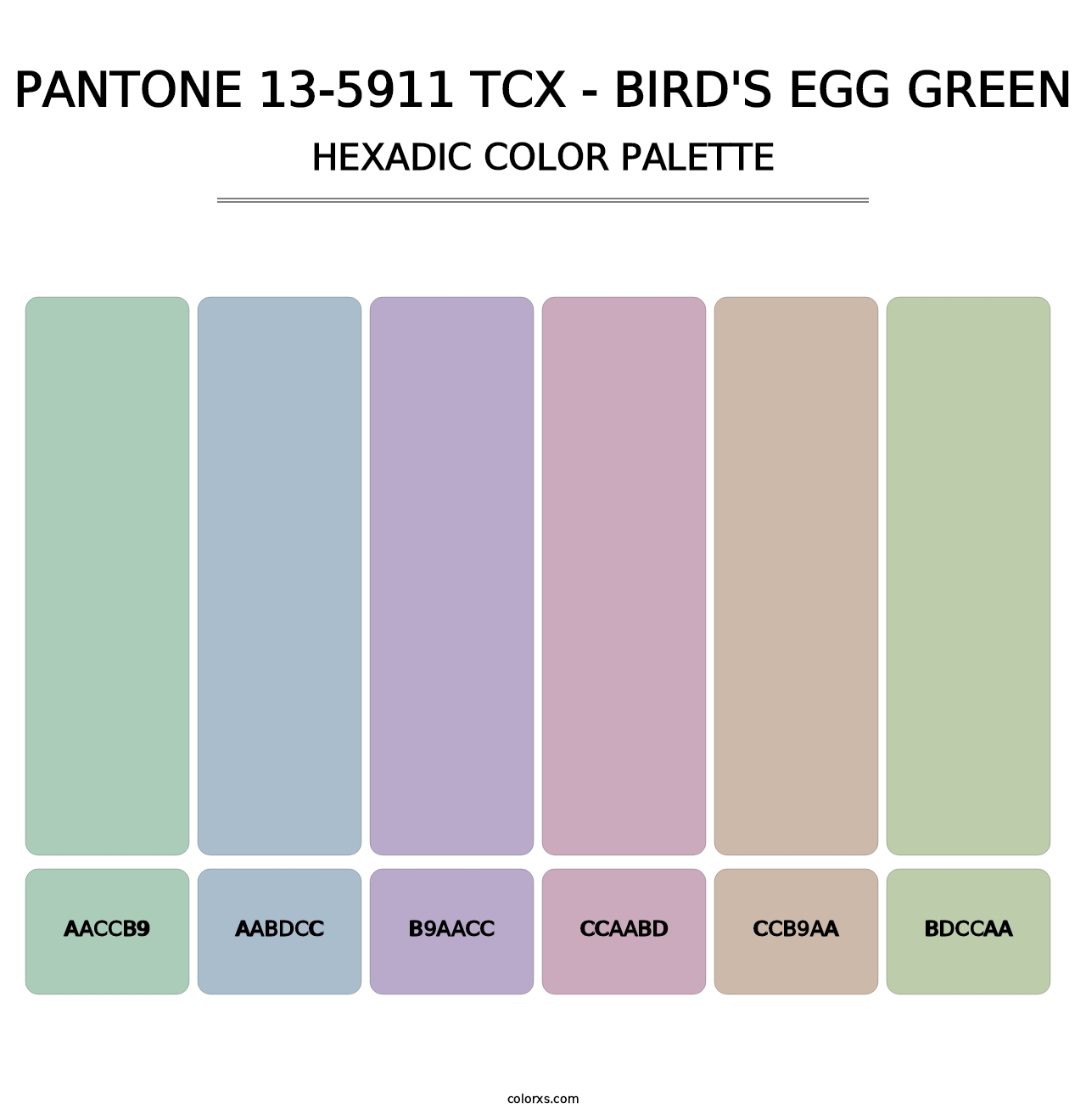 PANTONE 13-5911 TCX - Bird's Egg Green - Hexadic Color Palette