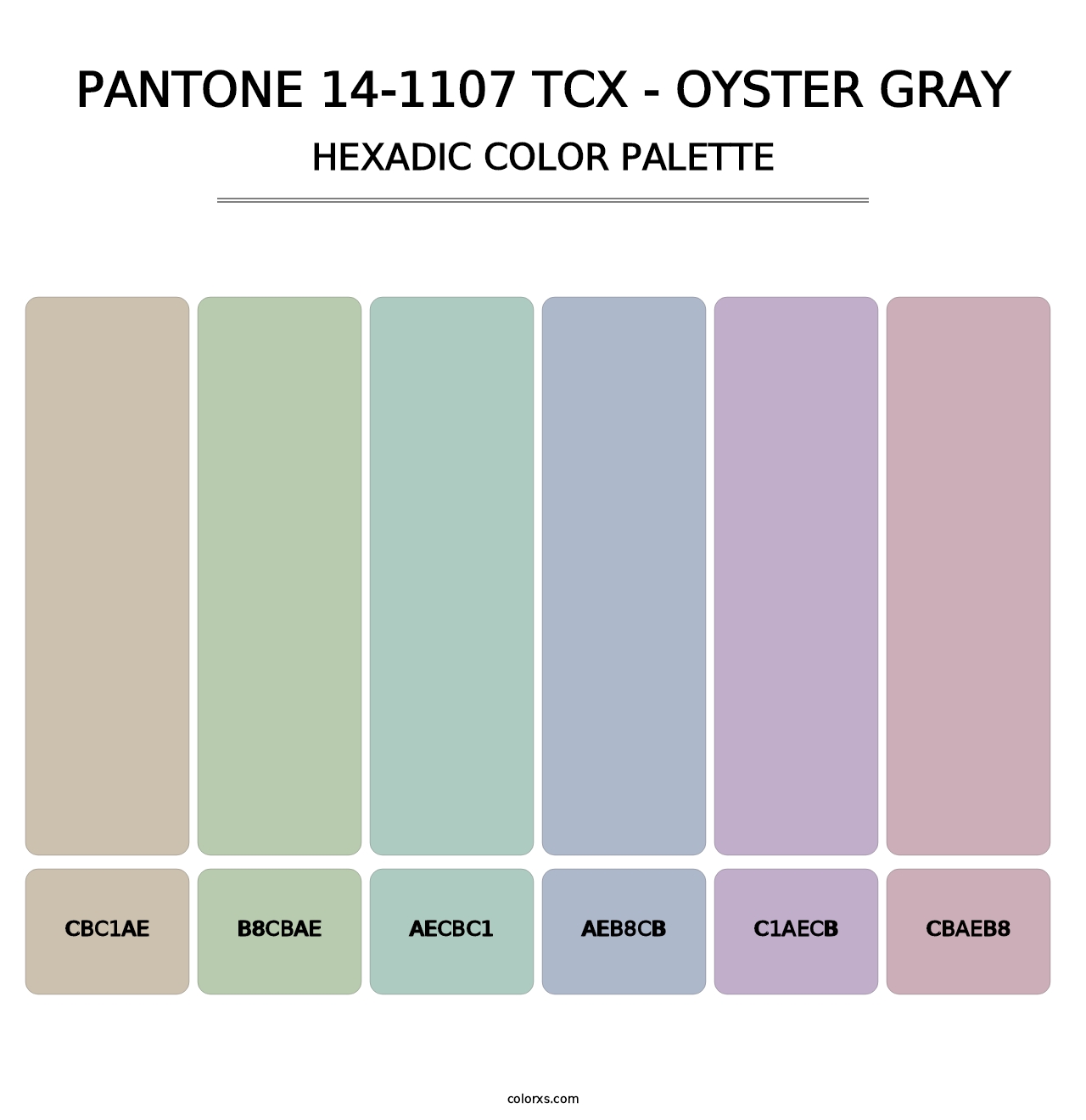PANTONE 14-1107 TCX - Oyster Gray - Hexadic Color Palette