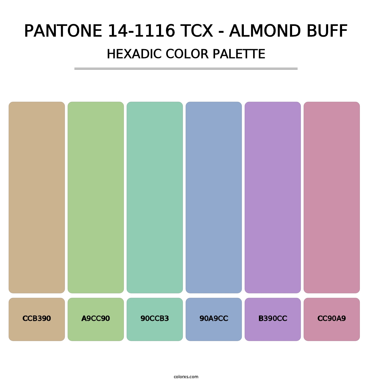 PANTONE 14-1116 TCX - Almond Buff - Hexadic Color Palette