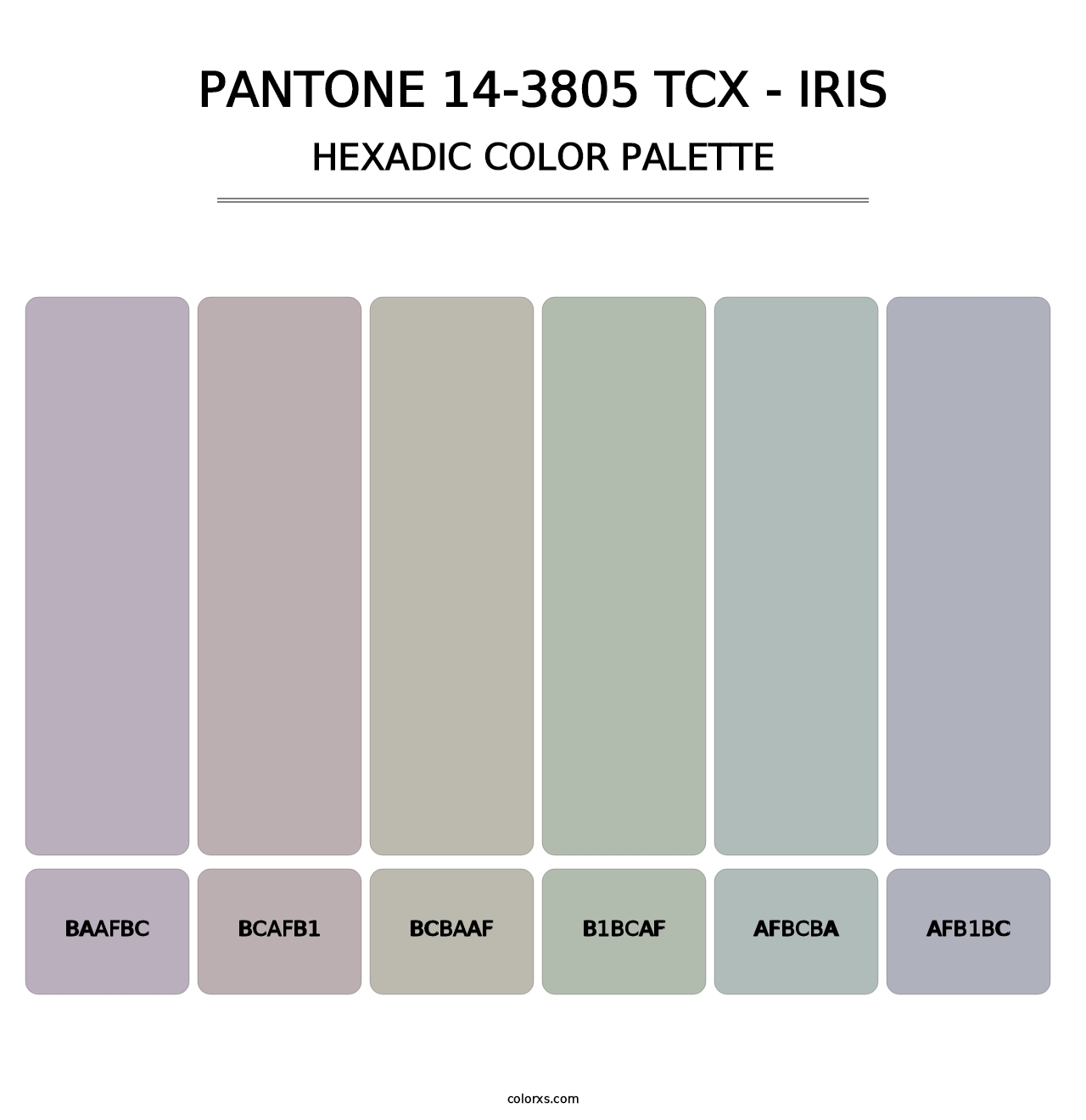 PANTONE 14-3805 TCX - Iris - Hexadic Color Palette