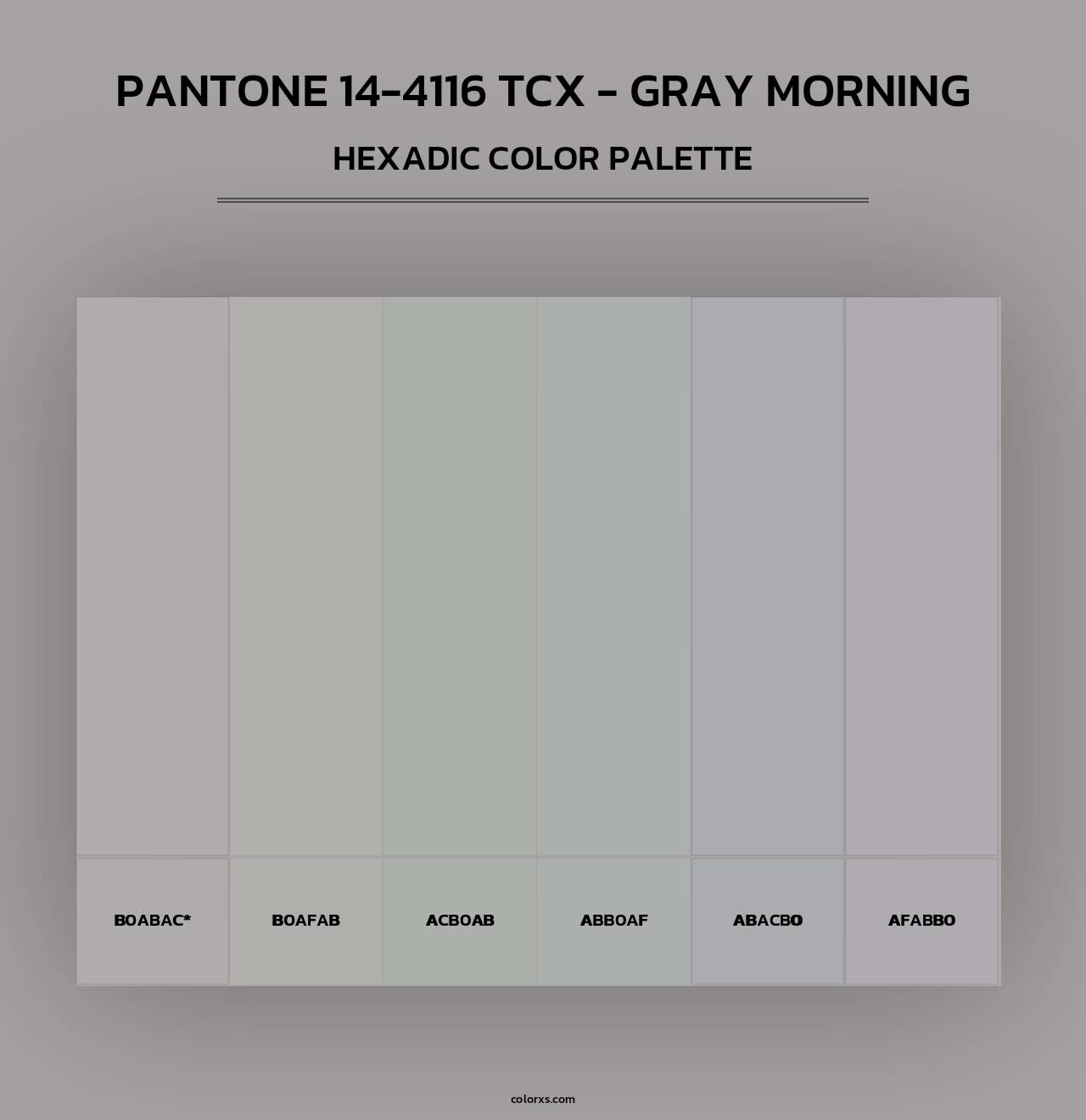 PANTONE 14-4116 TCX - Gray Morning - Hexadic Color Palette