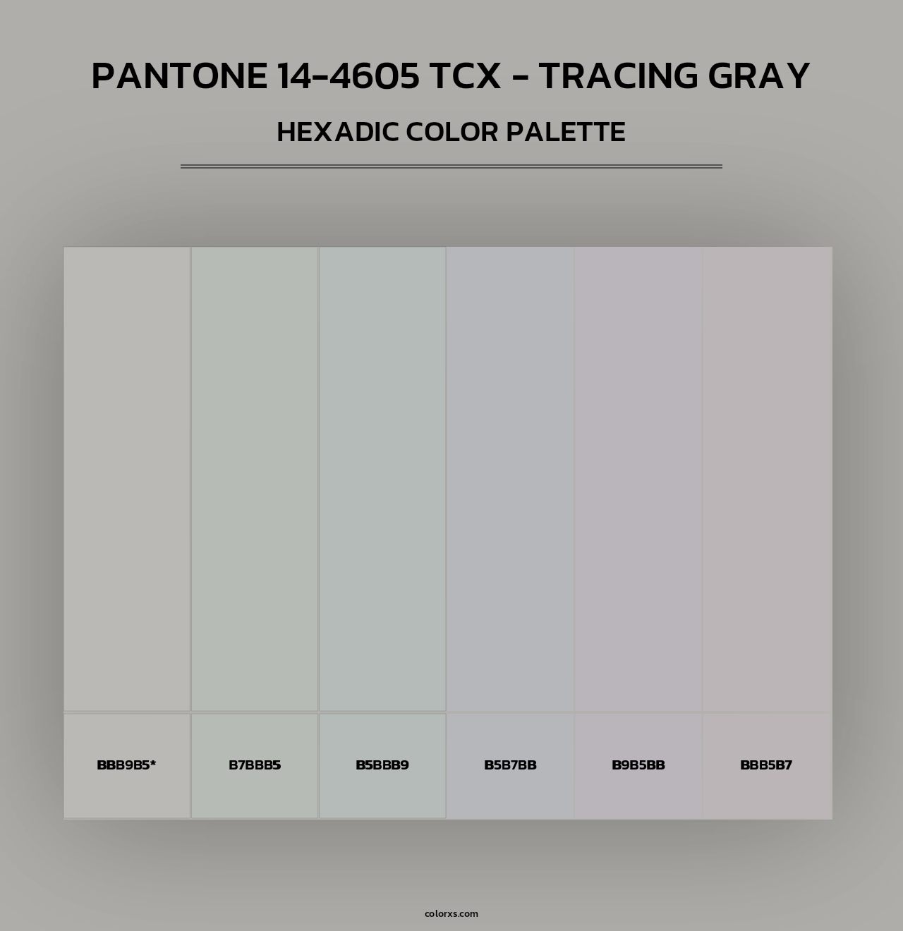 PANTONE 14-4605 TCX - Tracing Gray - Hexadic Color Palette