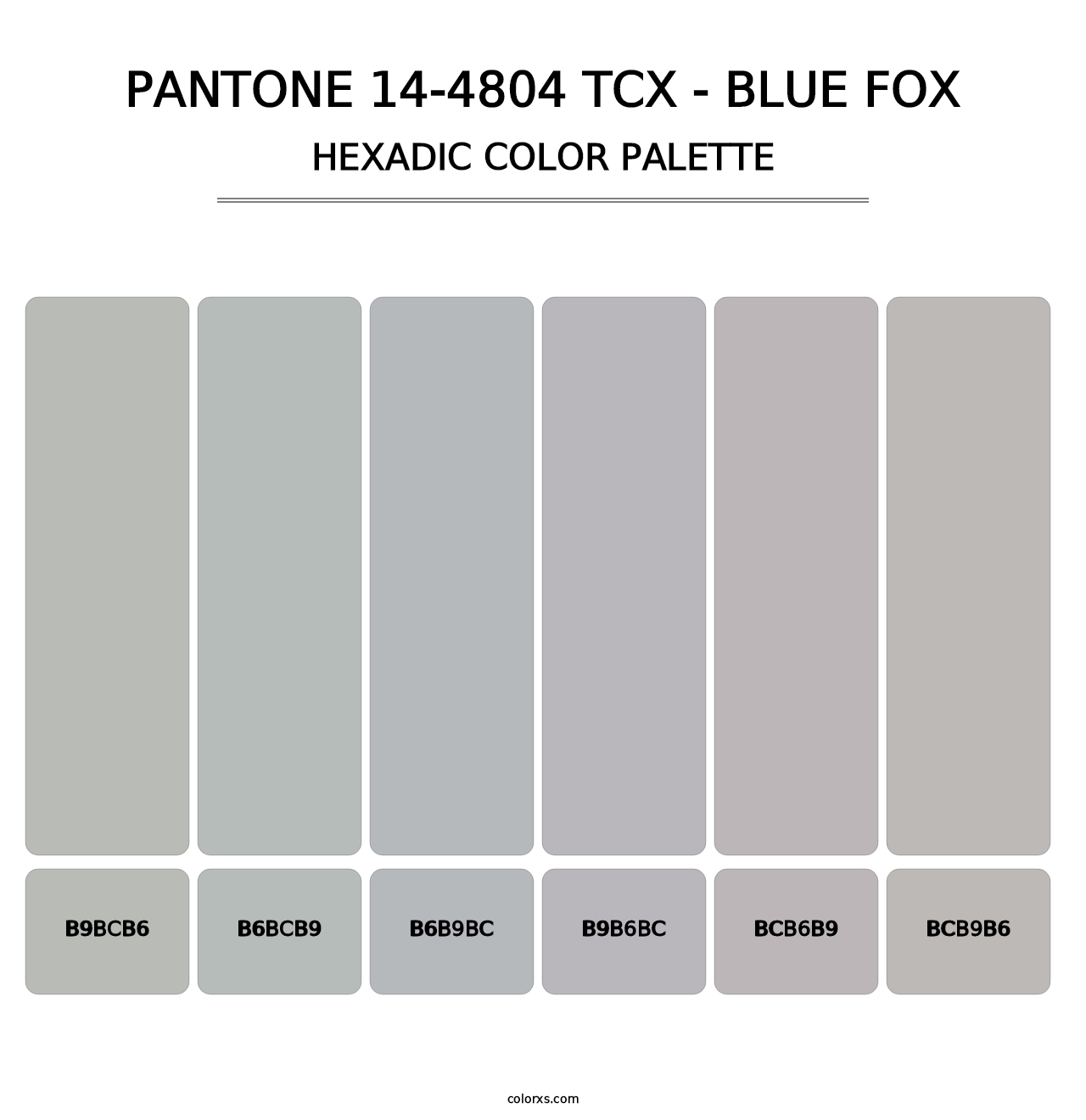 PANTONE 14-4804 TCX - Blue Fox - Hexadic Color Palette