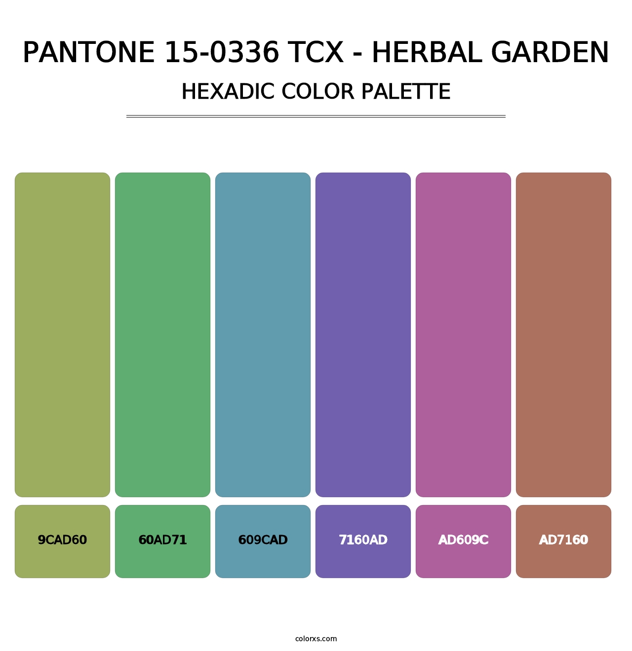 PANTONE 15-0336 TCX - Herbal Garden - Hexadic Color Palette
