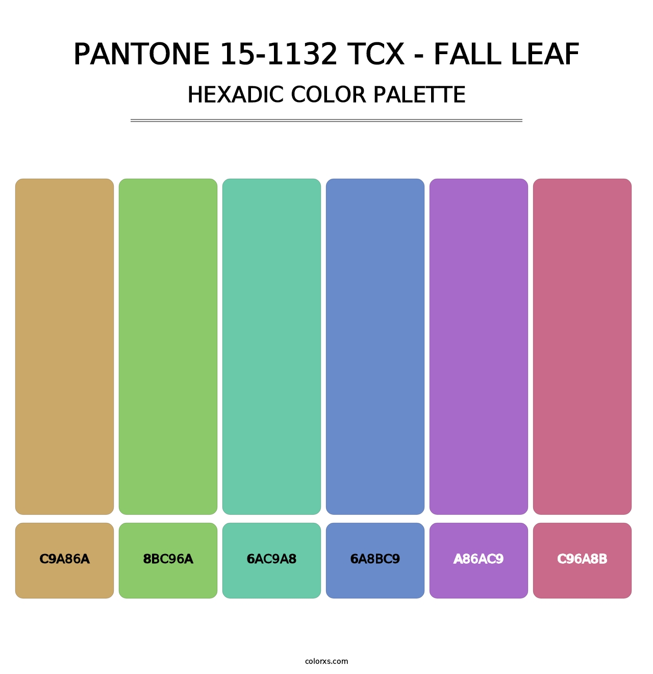 PANTONE 15-1132 TCX - Fall Leaf - Hexadic Color Palette