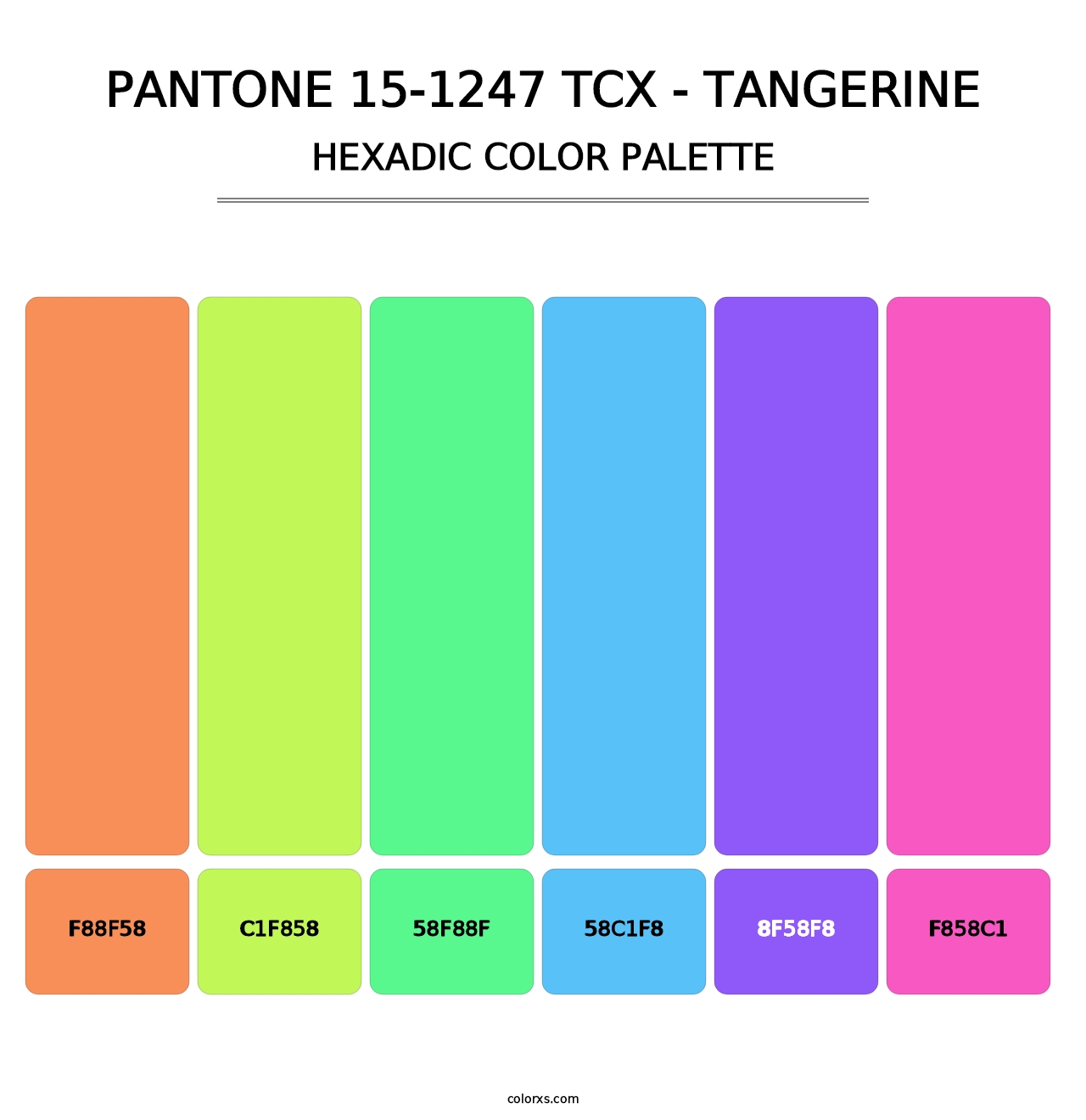 PANTONE 15-1247 TCX - Tangerine - Hexadic Color Palette