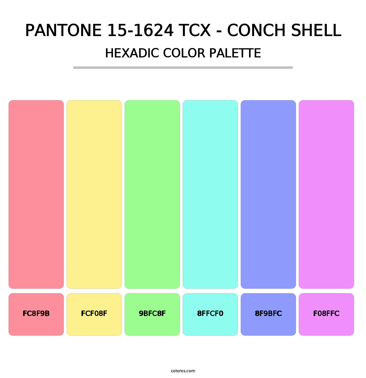 PANTONE 15-1624 TCX - Conch Shell - Hexadic Color Palette