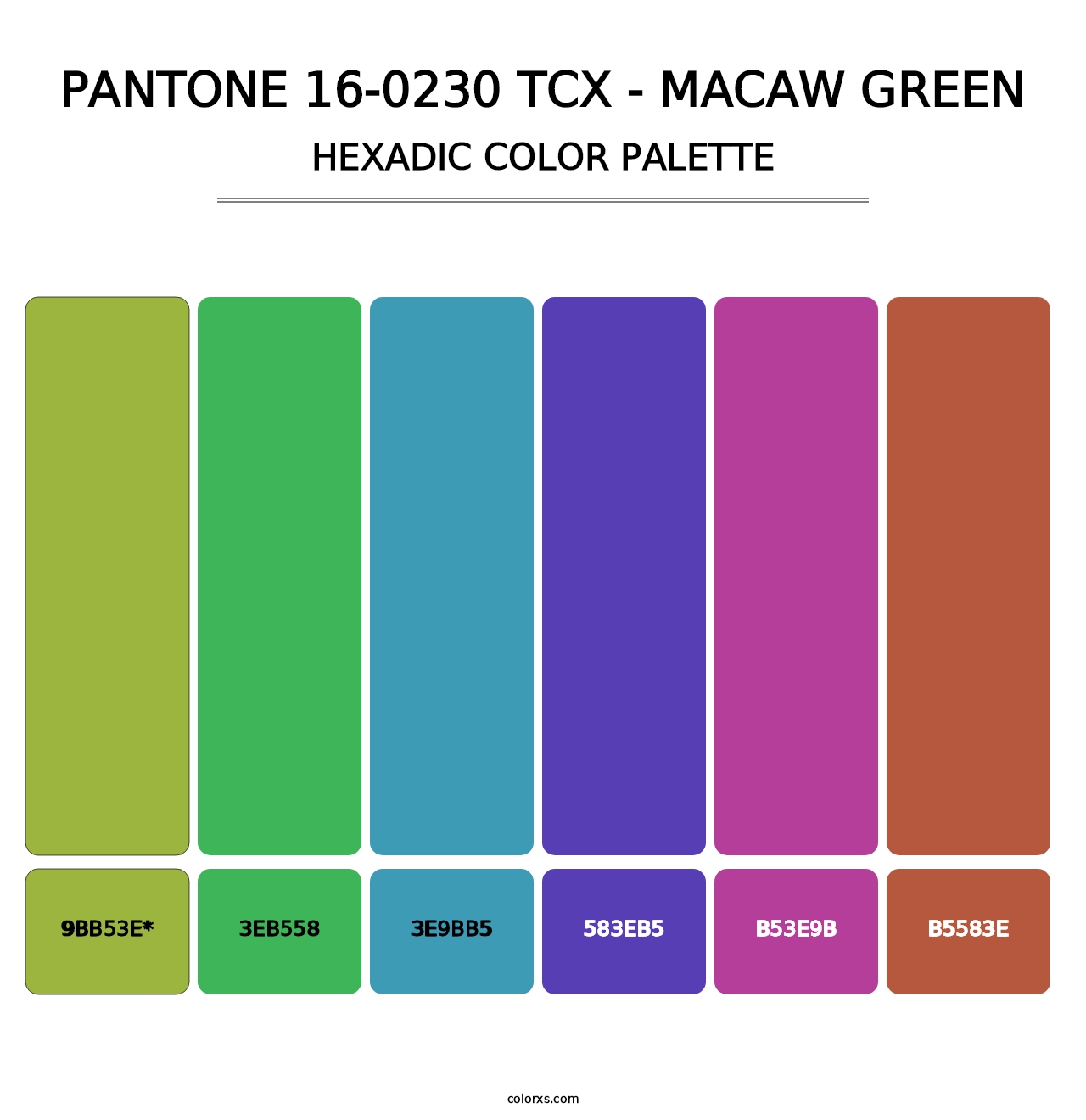 PANTONE 16-0230 TCX - Macaw Green - Hexadic Color Palette
