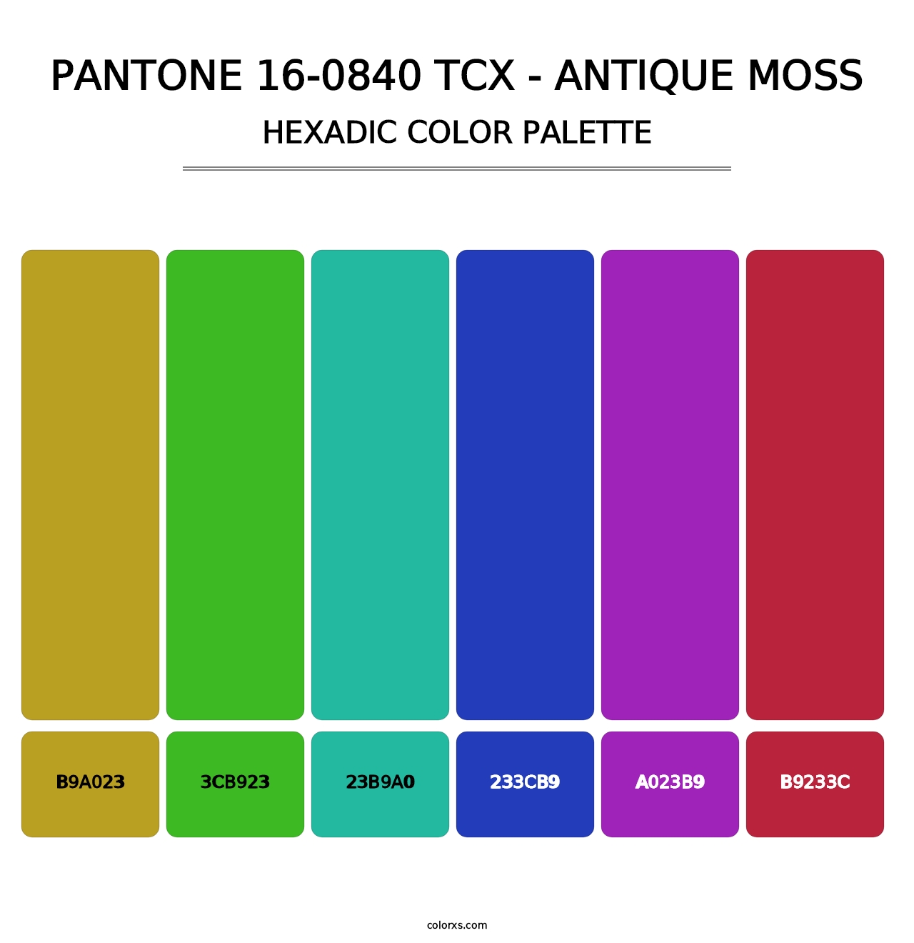 PANTONE 16-0840 TCX - Antique Moss - Hexadic Color Palette