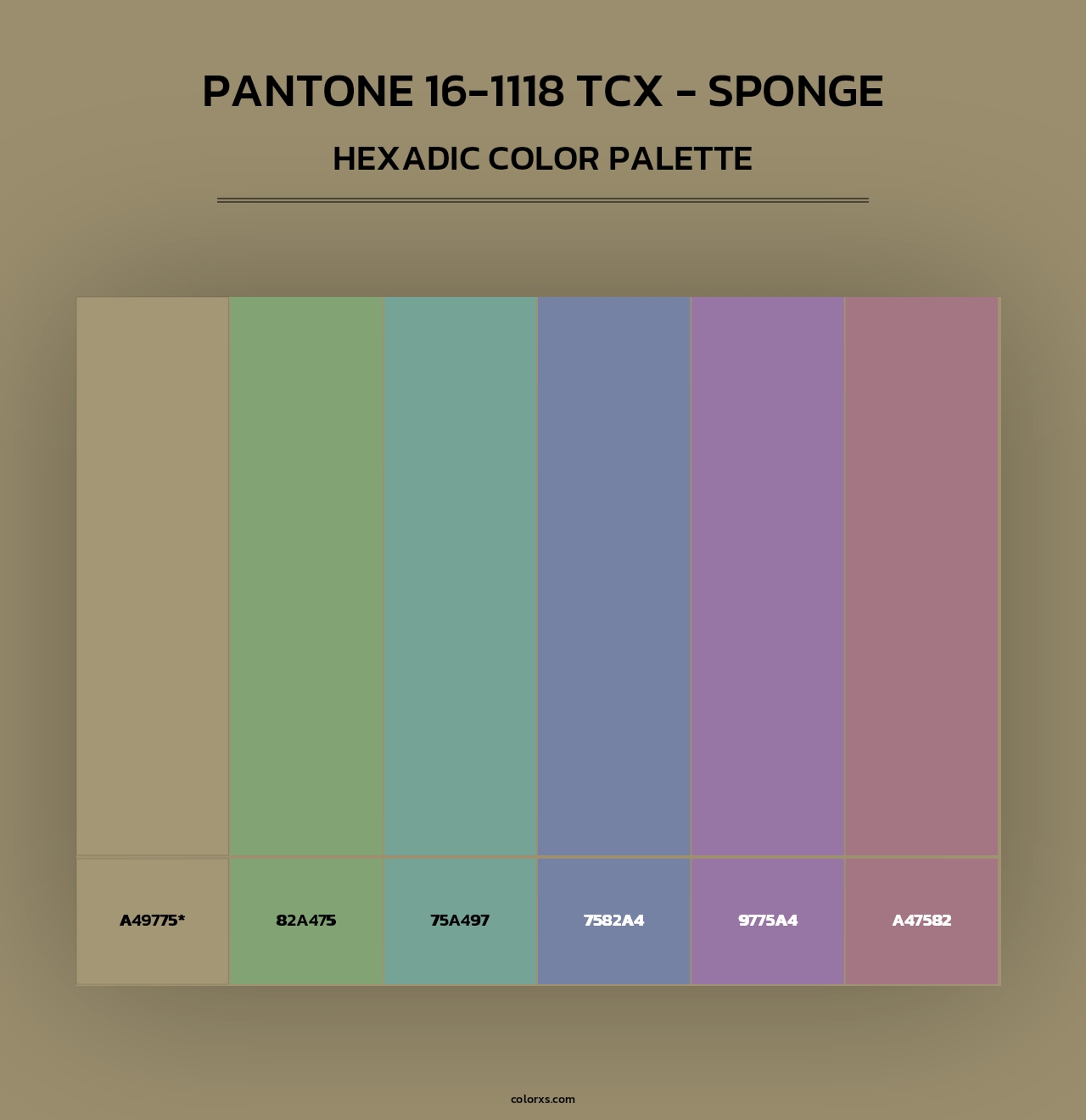 PANTONE 16-1118 TCX - Sponge color palettes - colorxs.com