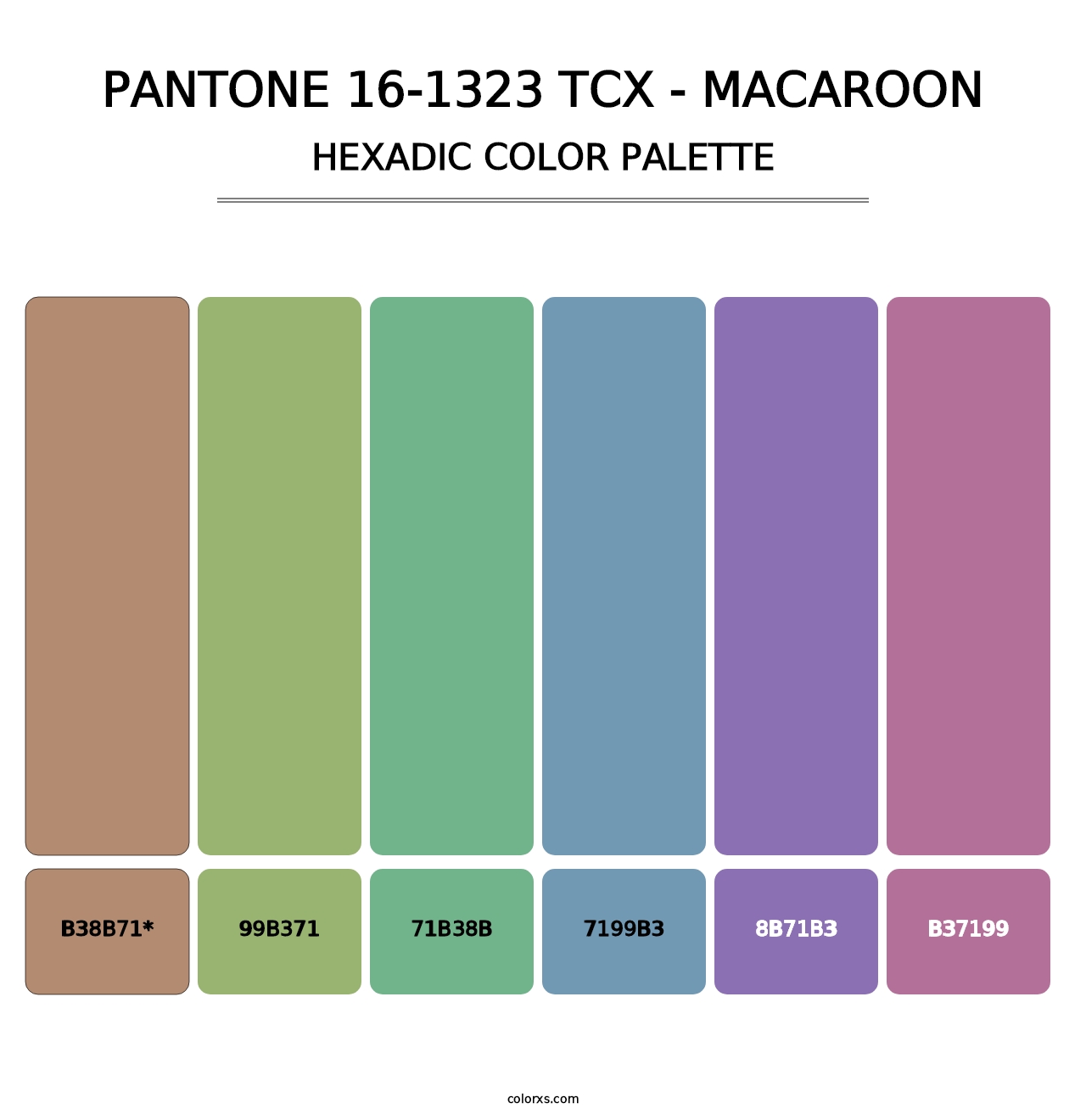 PANTONE 16-1323 TCX - Macaroon - Hexadic Color Palette