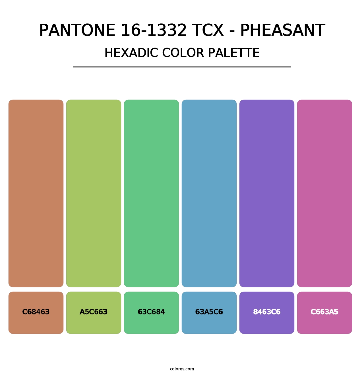 PANTONE 16-1332 TCX - Pheasant - Hexadic Color Palette