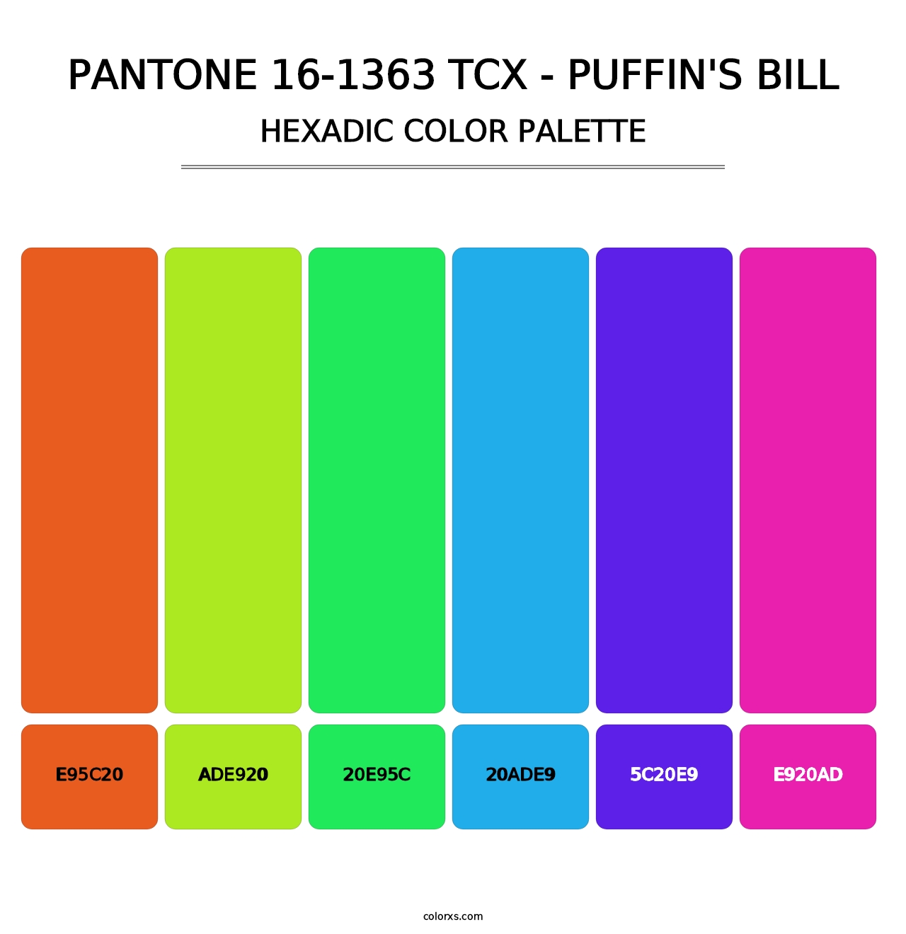 PANTONE 16-1363 TCX - Puffin's Bill - Hexadic Color Palette