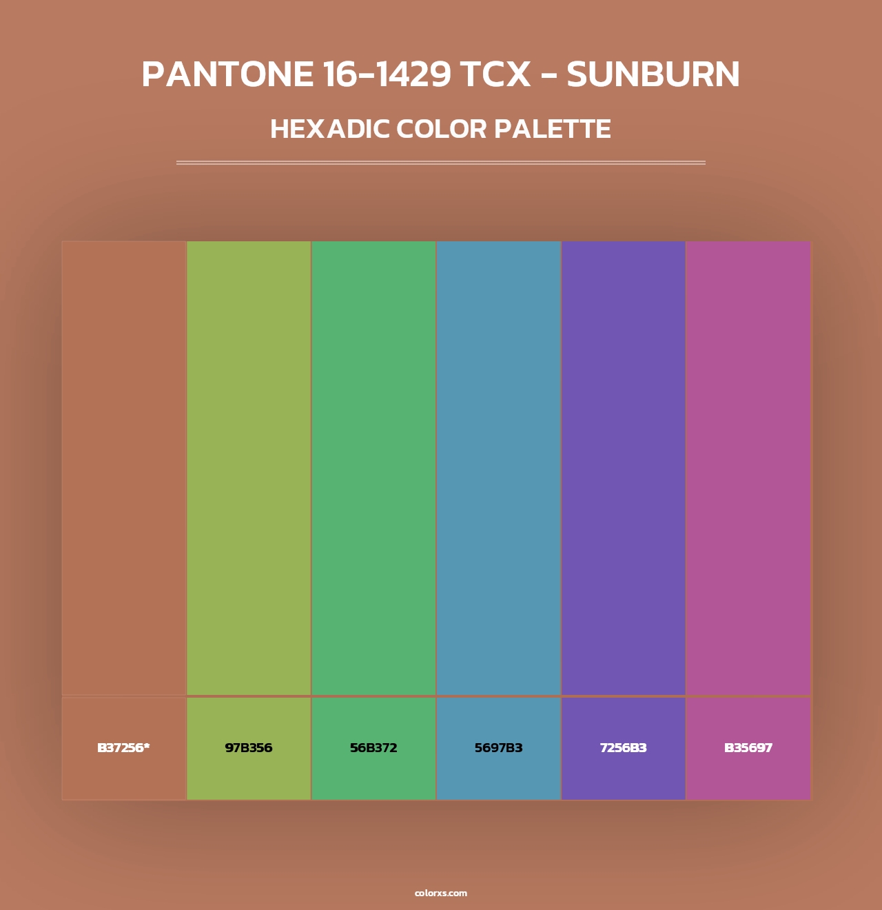 PANTONE 16-1429 TCX - Sunburn - Hexadic Color Palette