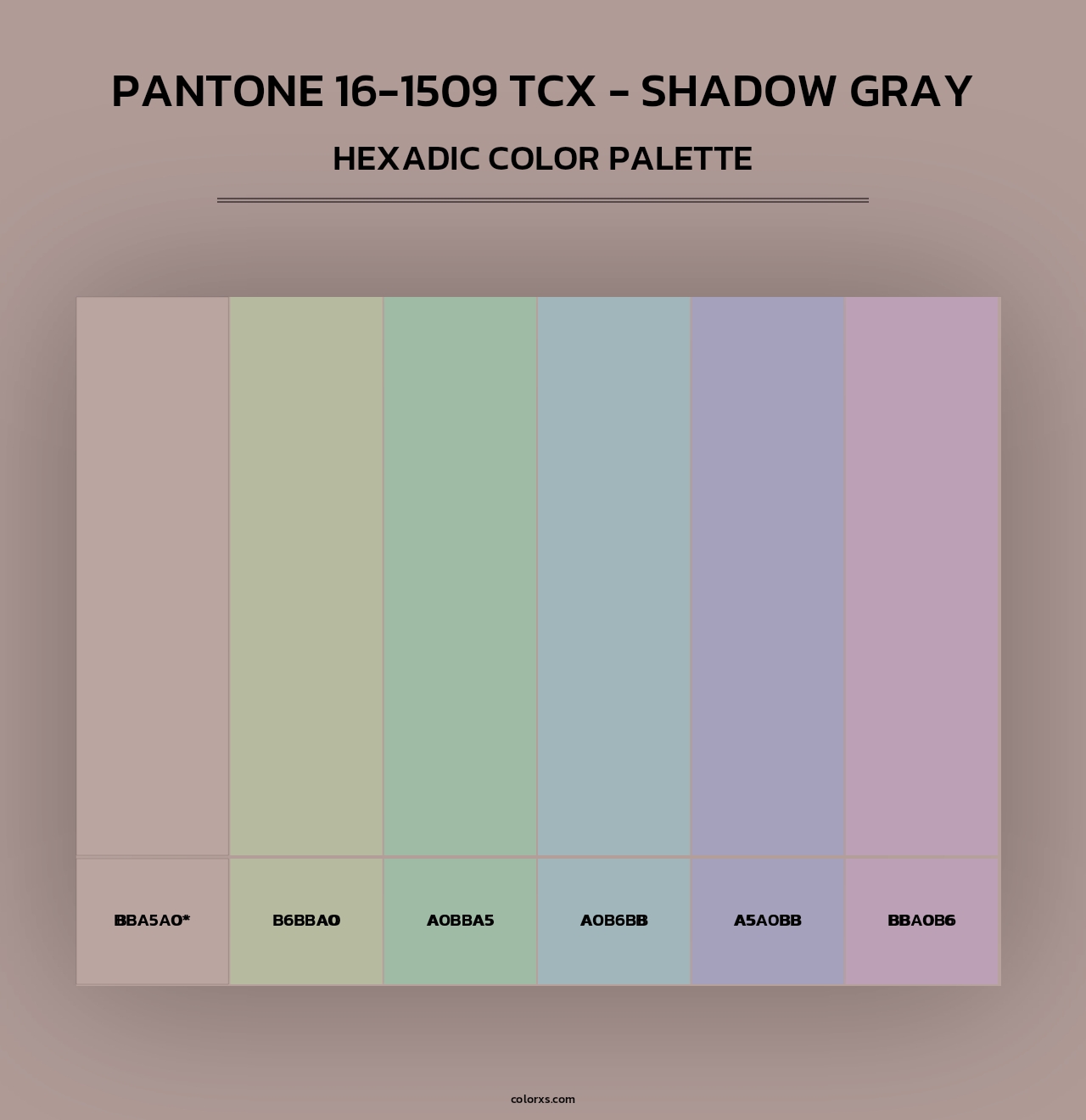 PANTONE 16-1509 TCX - Shadow Gray - Hexadic Color Palette