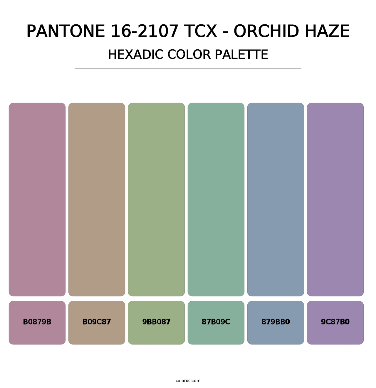 PANTONE 16-2107 TCX - Orchid Haze - Hexadic Color Palette