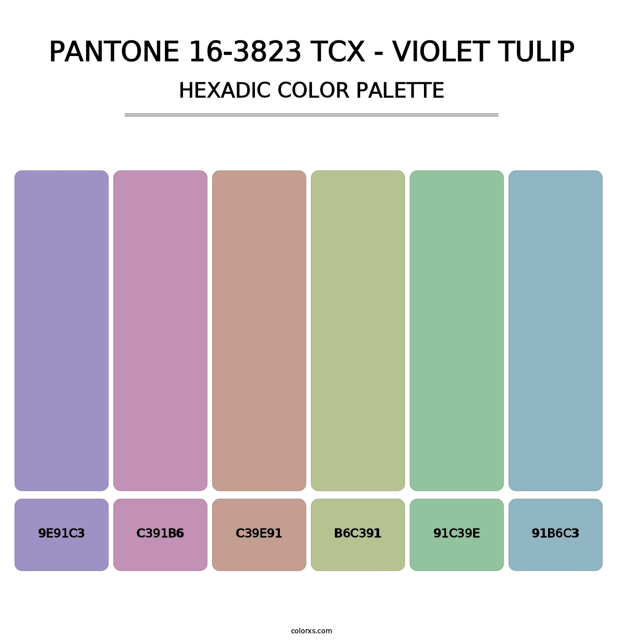 PANTONE 16-3823 TCX - Violet Tulip - Hexadic Color Palette