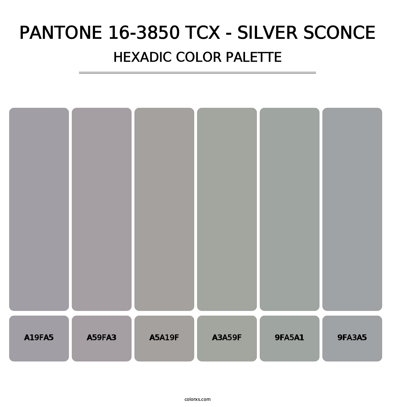 PANTONE 16-3850 TCX - Silver Sconce - Hexadic Color Palette