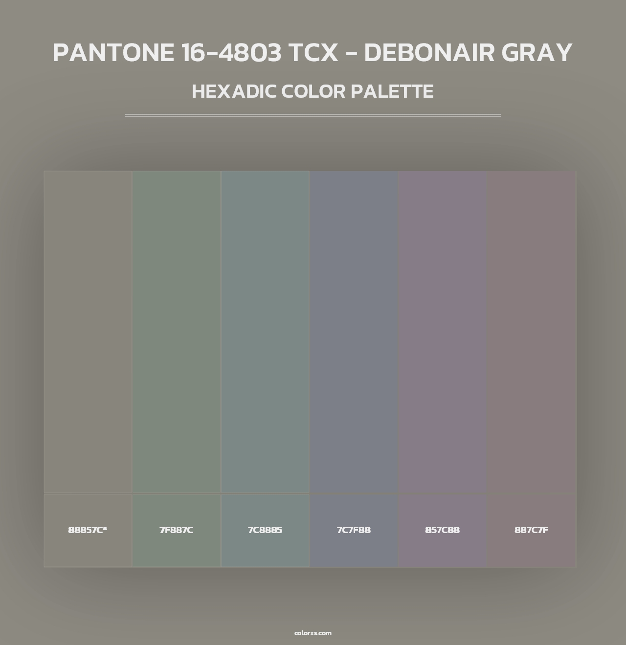 PANTONE 16-4803 TCX - Debonair Gray - Hexadic Color Palette