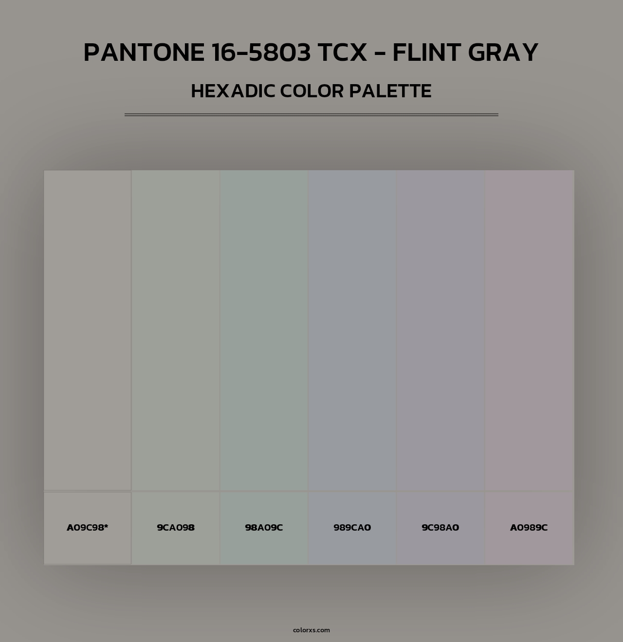 PANTONE 16-5803 TCX - Flint Gray - Hexadic Color Palette