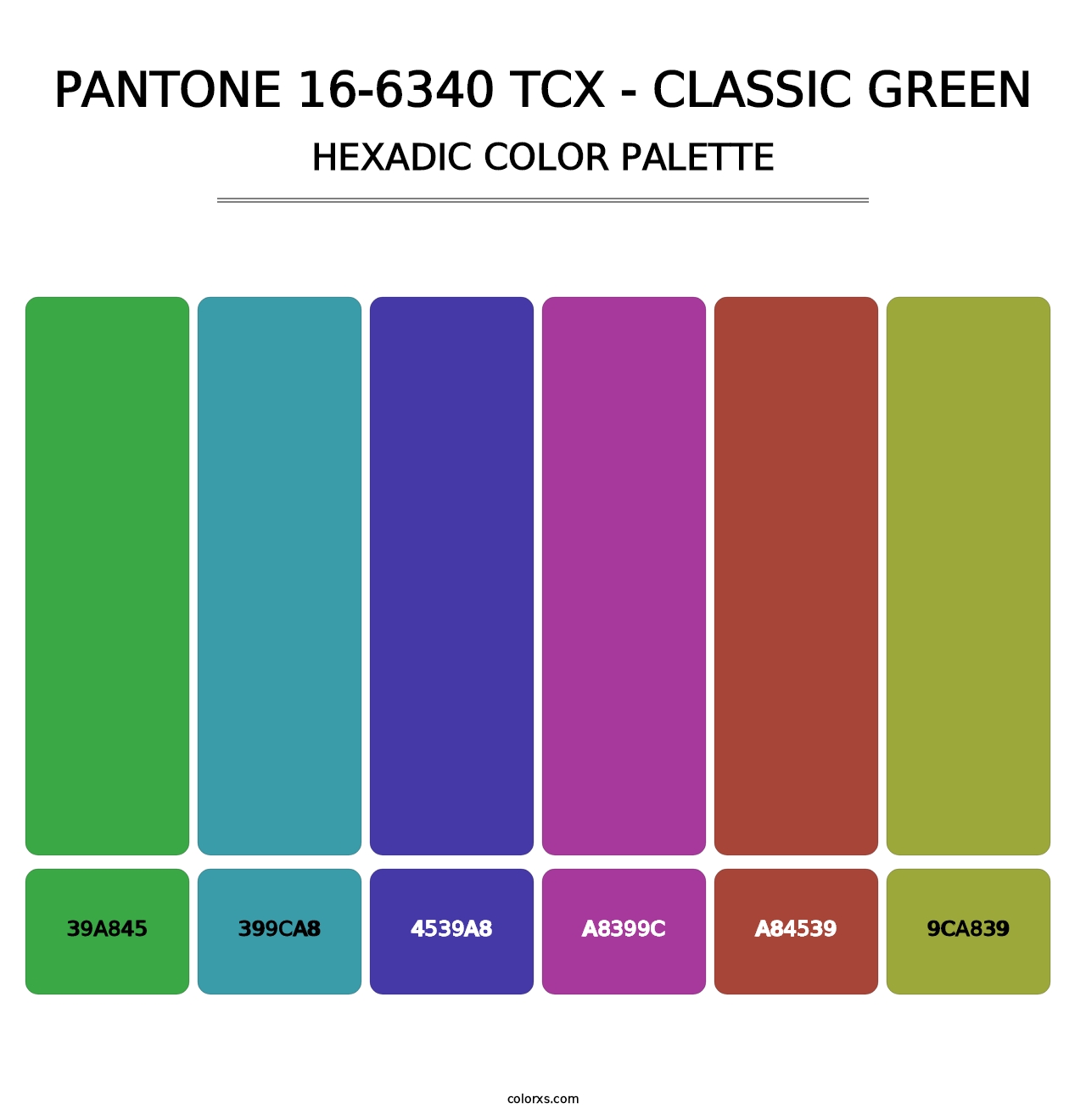 PANTONE 16-6340 TCX - Classic Green - Hexadic Color Palette