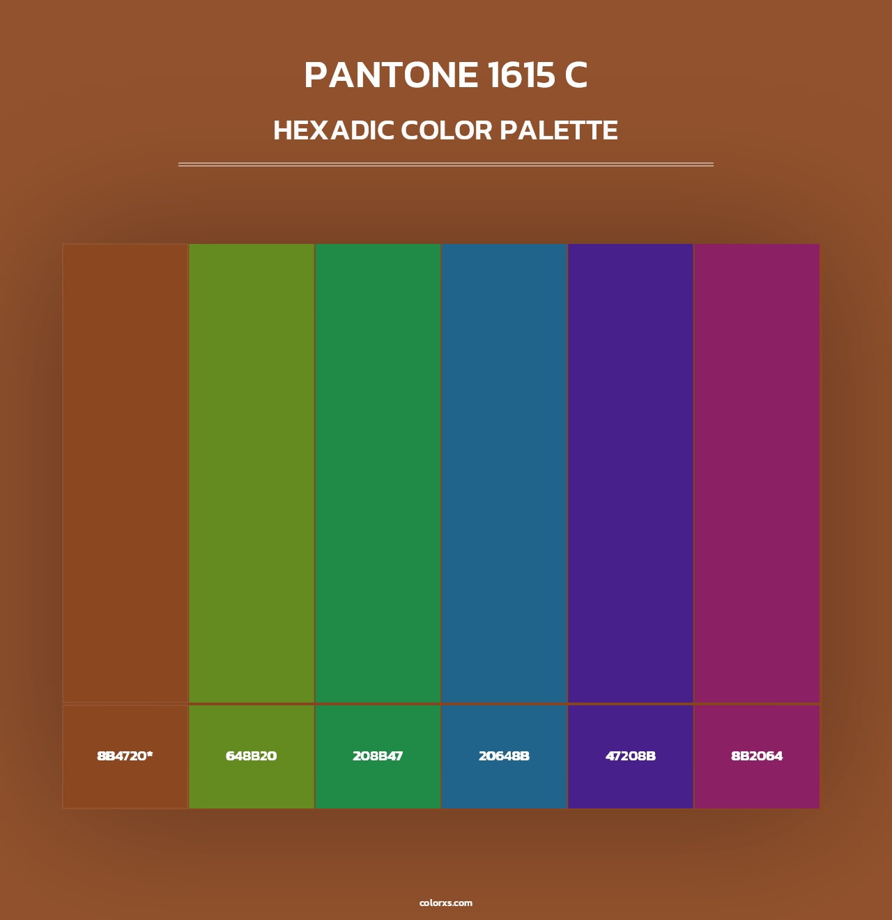 PANTONE 1615 C - Hexadic Color Palette