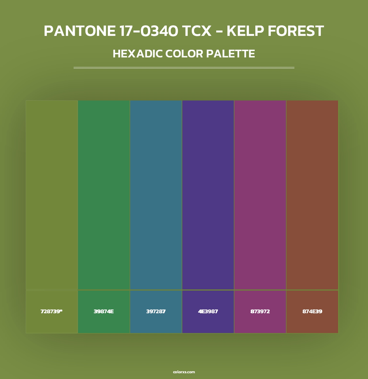 PANTONE 17-0340 TCX - Kelp Forest - Hexadic Color Palette