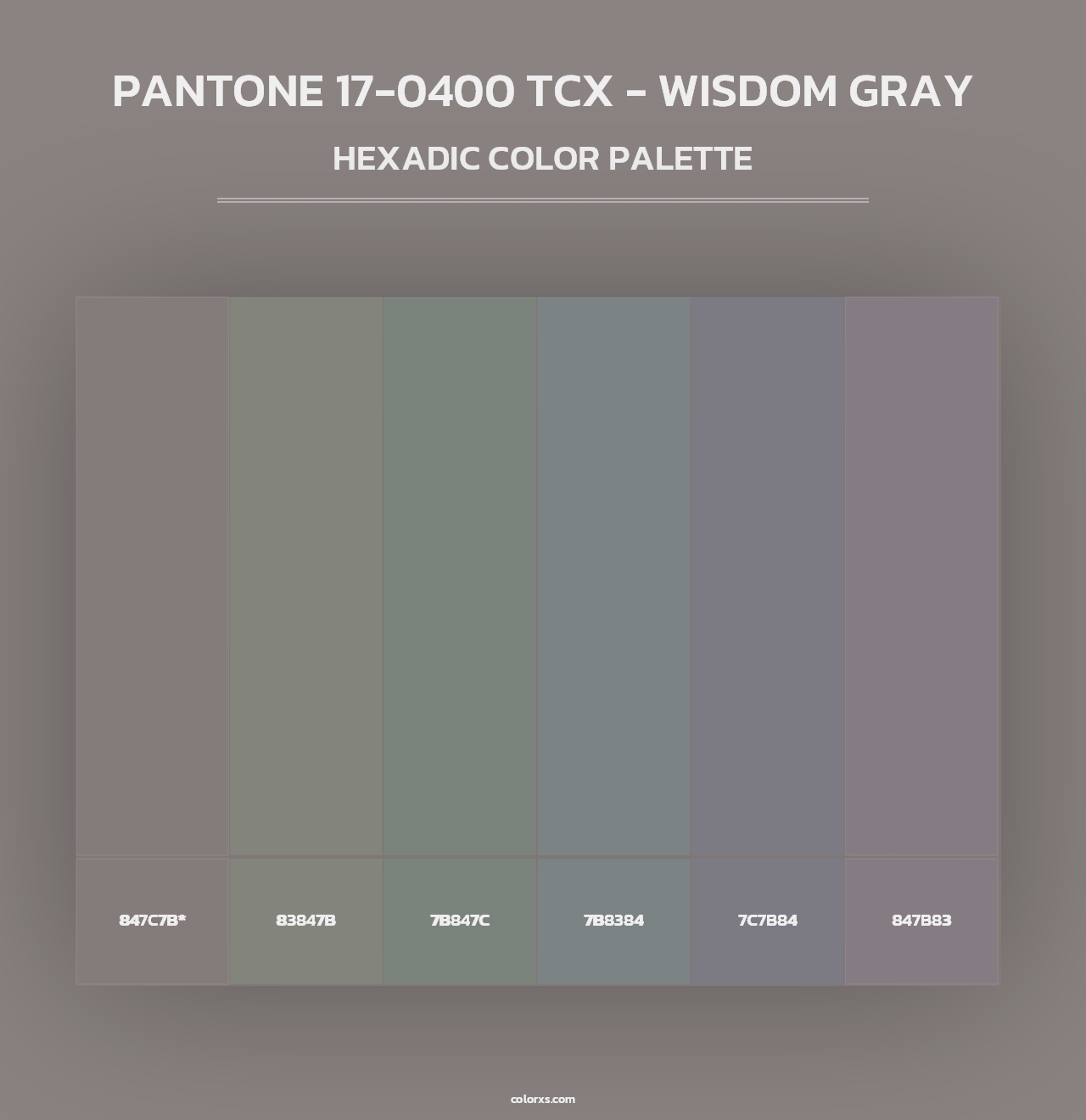PANTONE 17-0400 TCX - Wisdom Gray - Hexadic Color Palette
