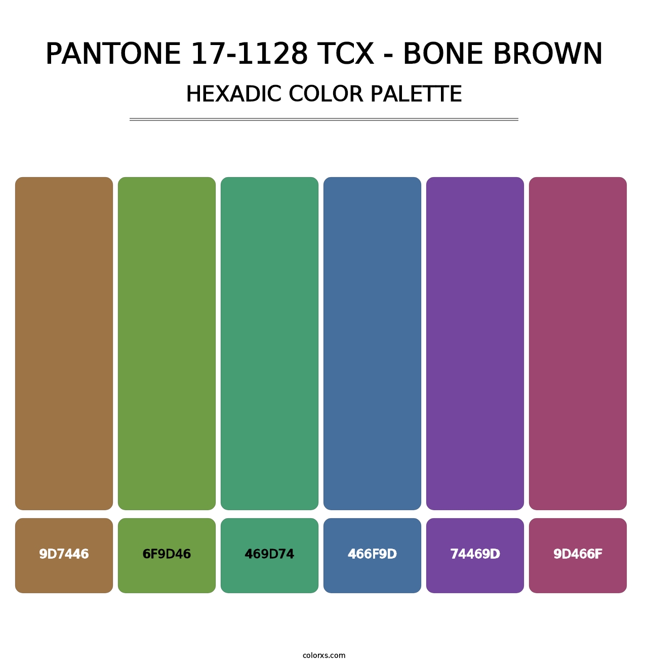 PANTONE 17-1128 TCX - Bone Brown - Hexadic Color Palette