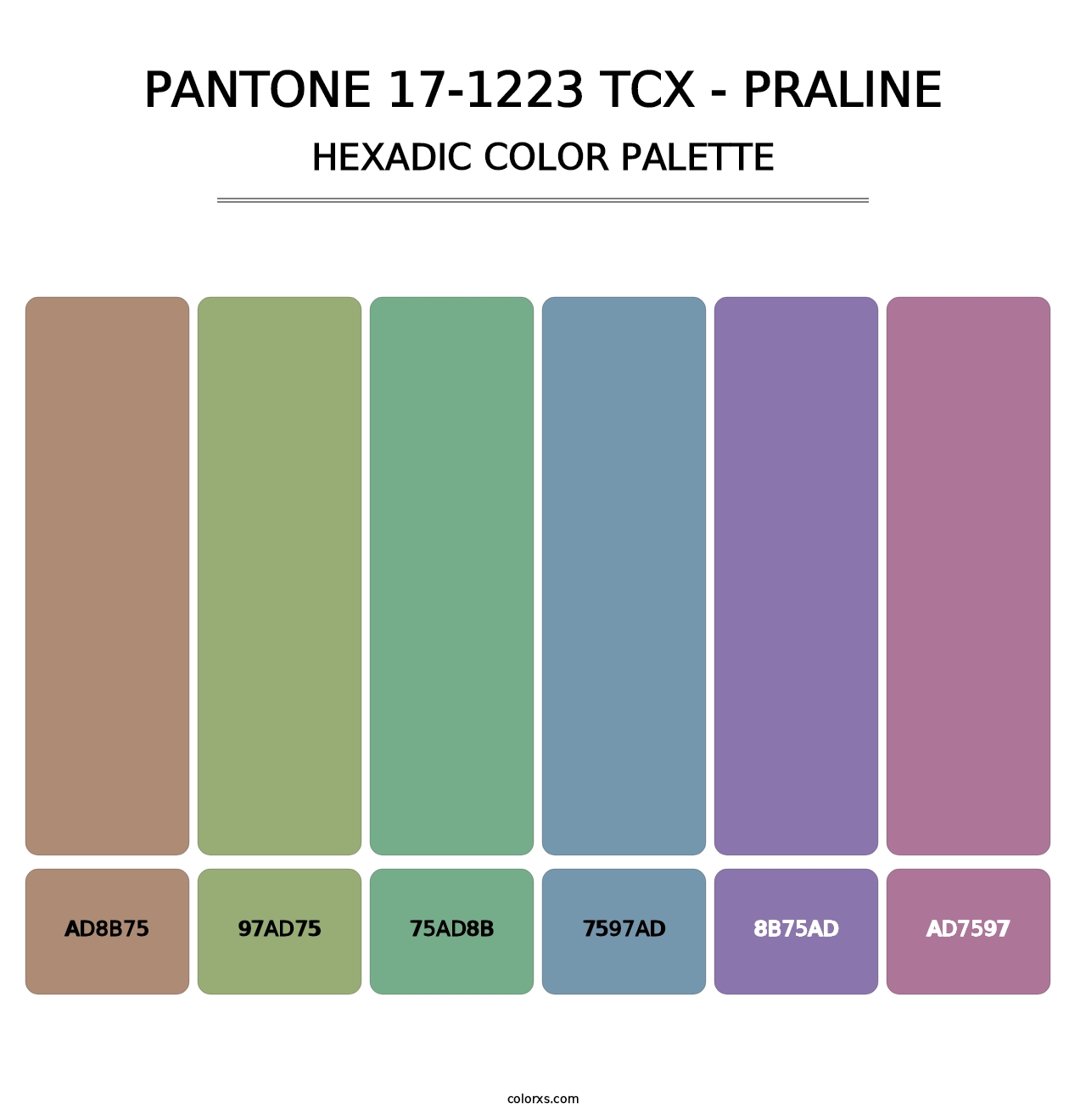 PANTONE 17-1223 TCX - Praline - Hexadic Color Palette