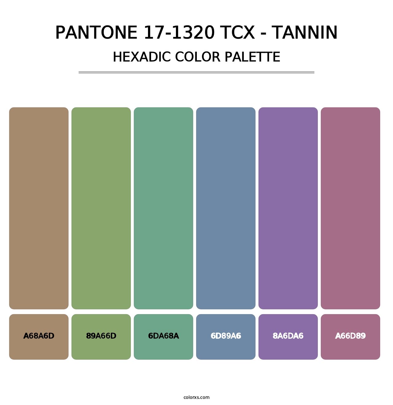 PANTONE 17-1320 TCX - Tannin - Hexadic Color Palette