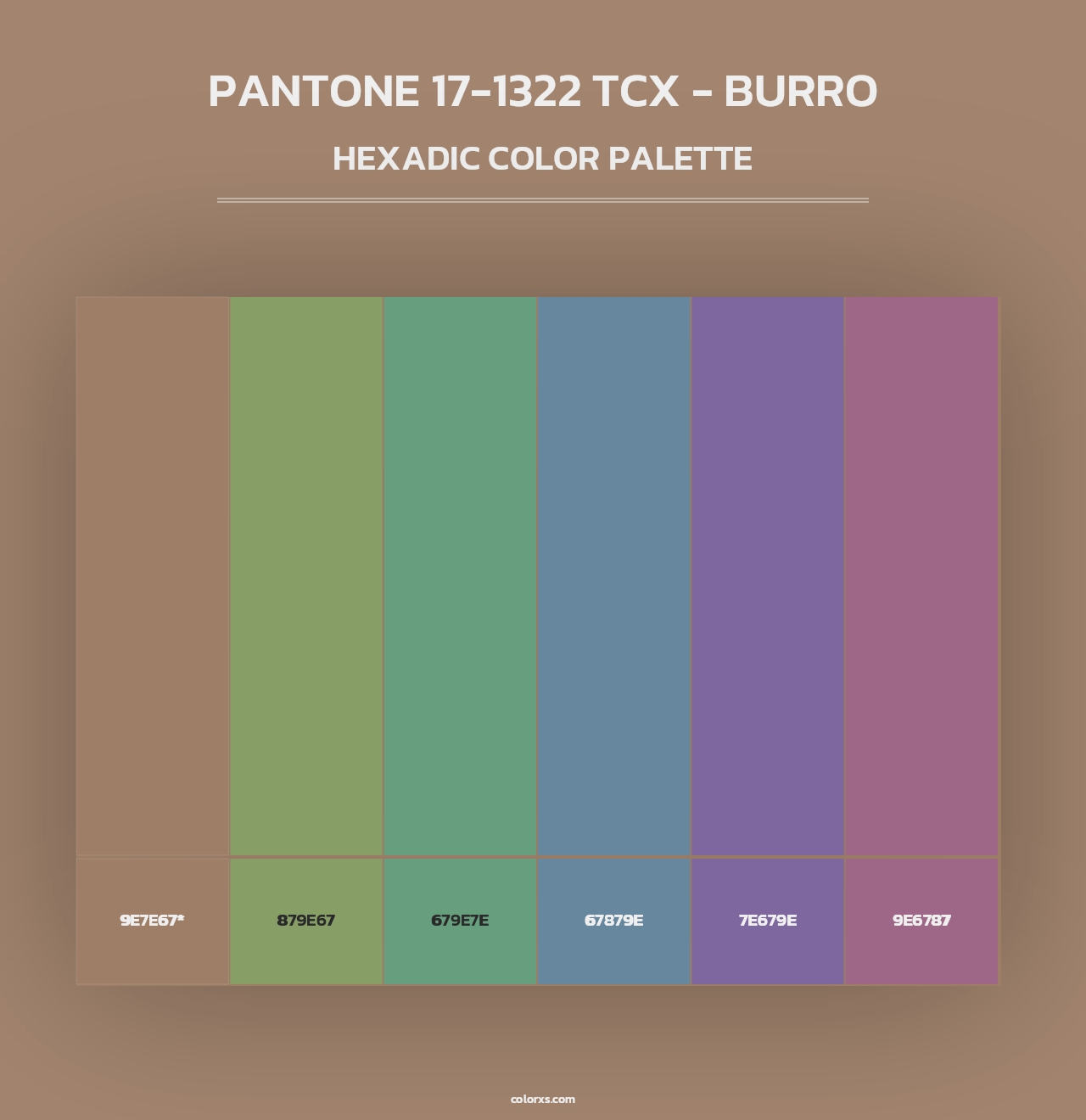 PANTONE 17-1322 TCX - Burro - Hexadic Color Palette