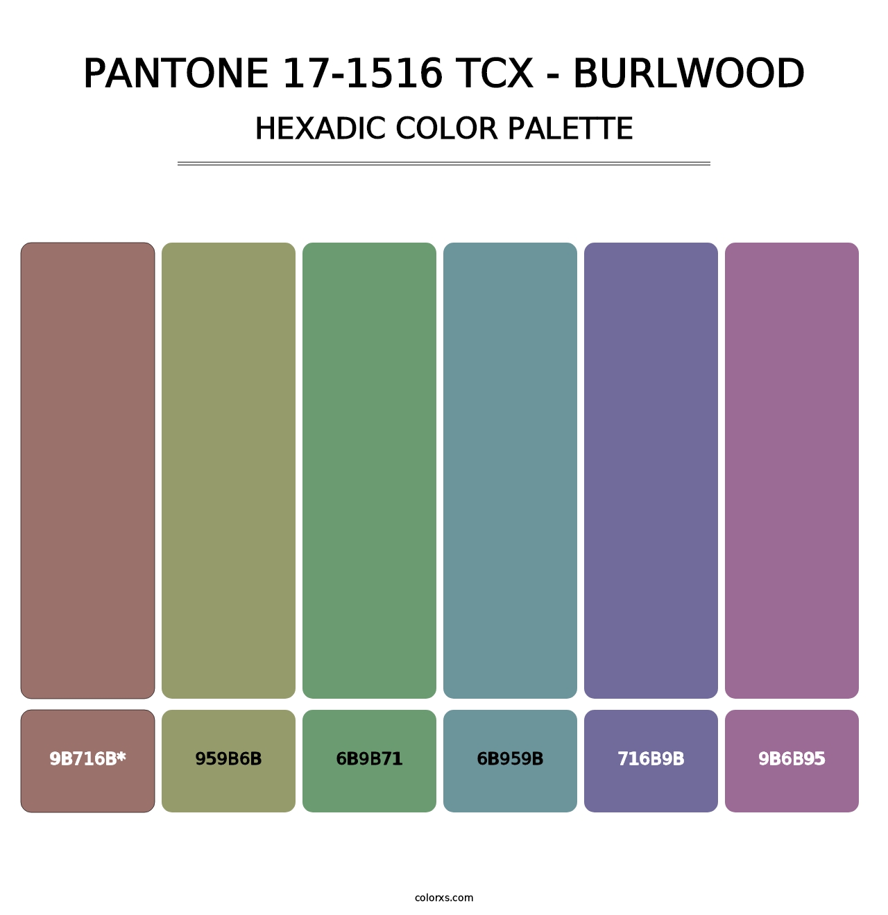 PANTONE 17-1516 TCX - Burlwood - Hexadic Color Palette