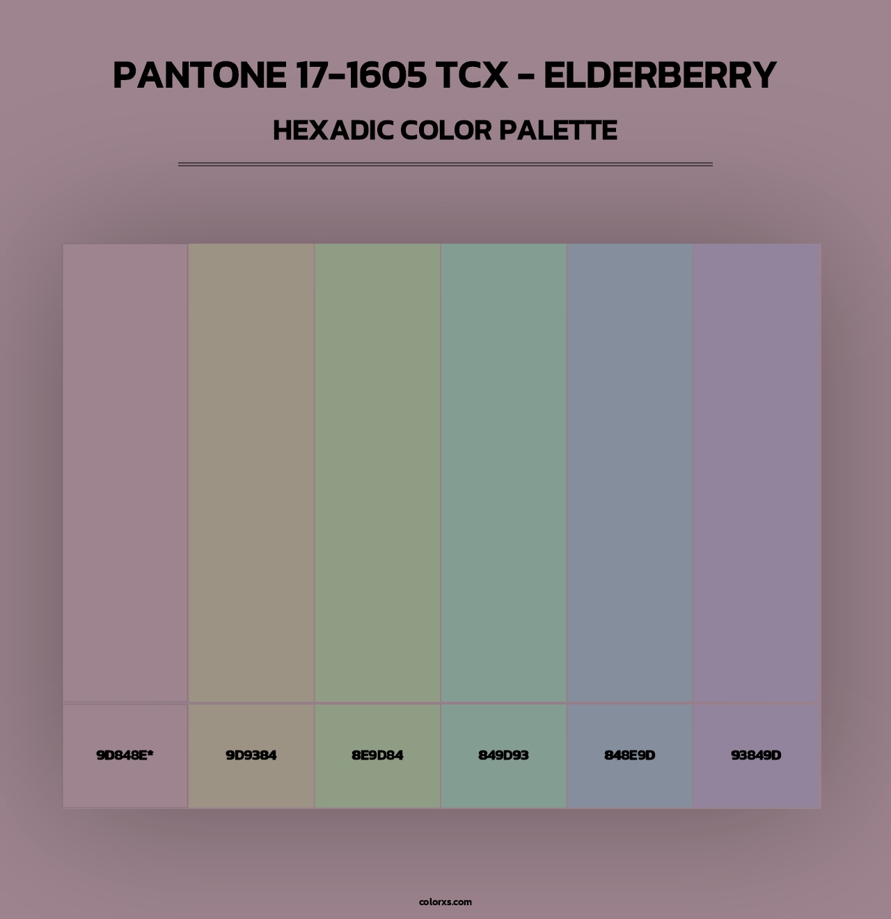 PANTONE 17-1605 TCX - Elderberry - Hexadic Color Palette