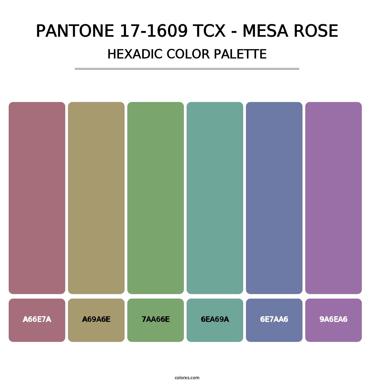 PANTONE 17-1609 TCX - Mesa Rose - Hexadic Color Palette