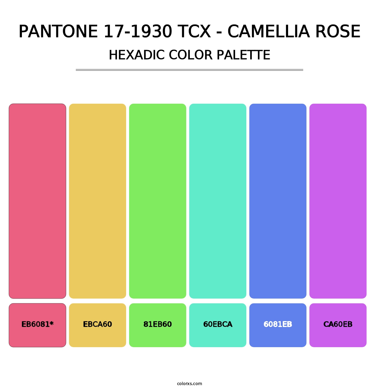 PANTONE 17-1930 TCX - Camellia Rose - Hexadic Color Palette
