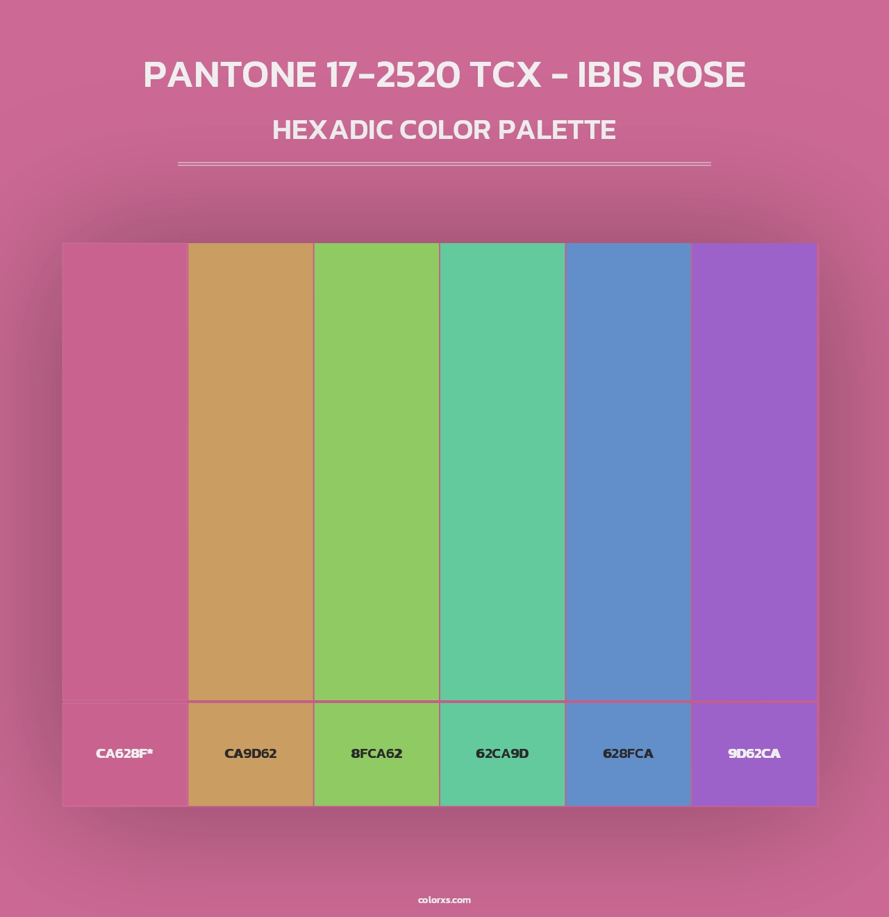 PANTONE 17-2520 TCX - Ibis Rose - Hexadic Color Palette