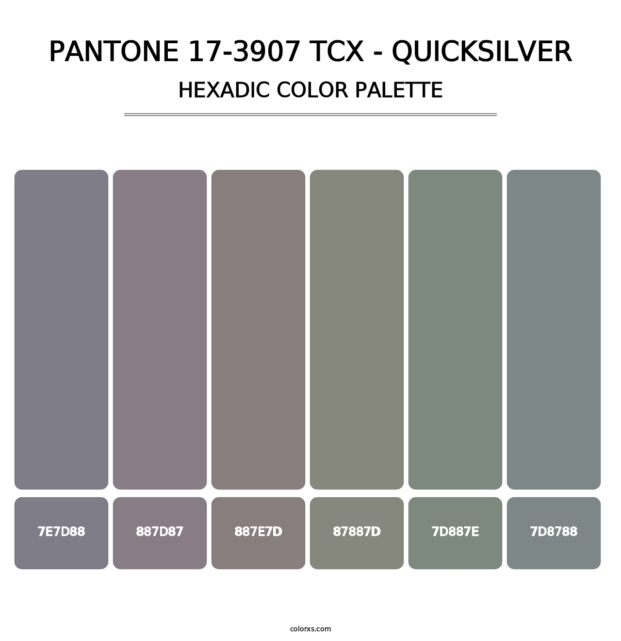 PANTONE 17-3907 TCX - Quicksilver - Hexadic Color Palette