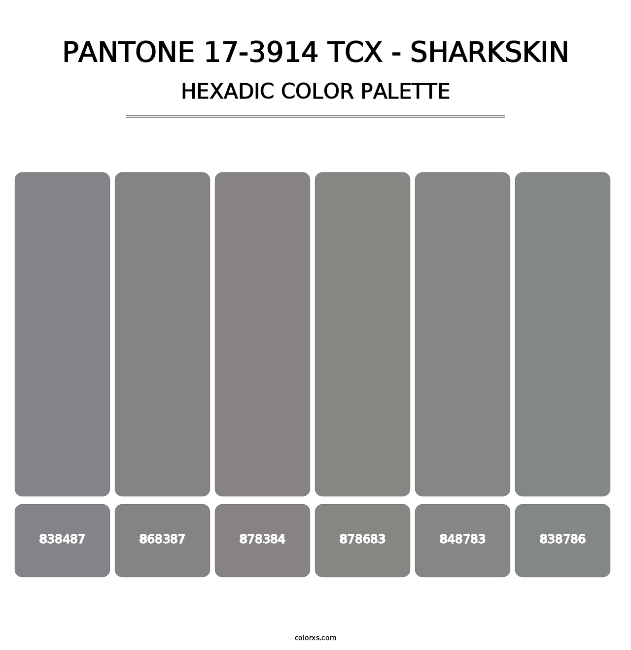 PANTONE 17-3914 TCX - Sharkskin - Hexadic Color Palette