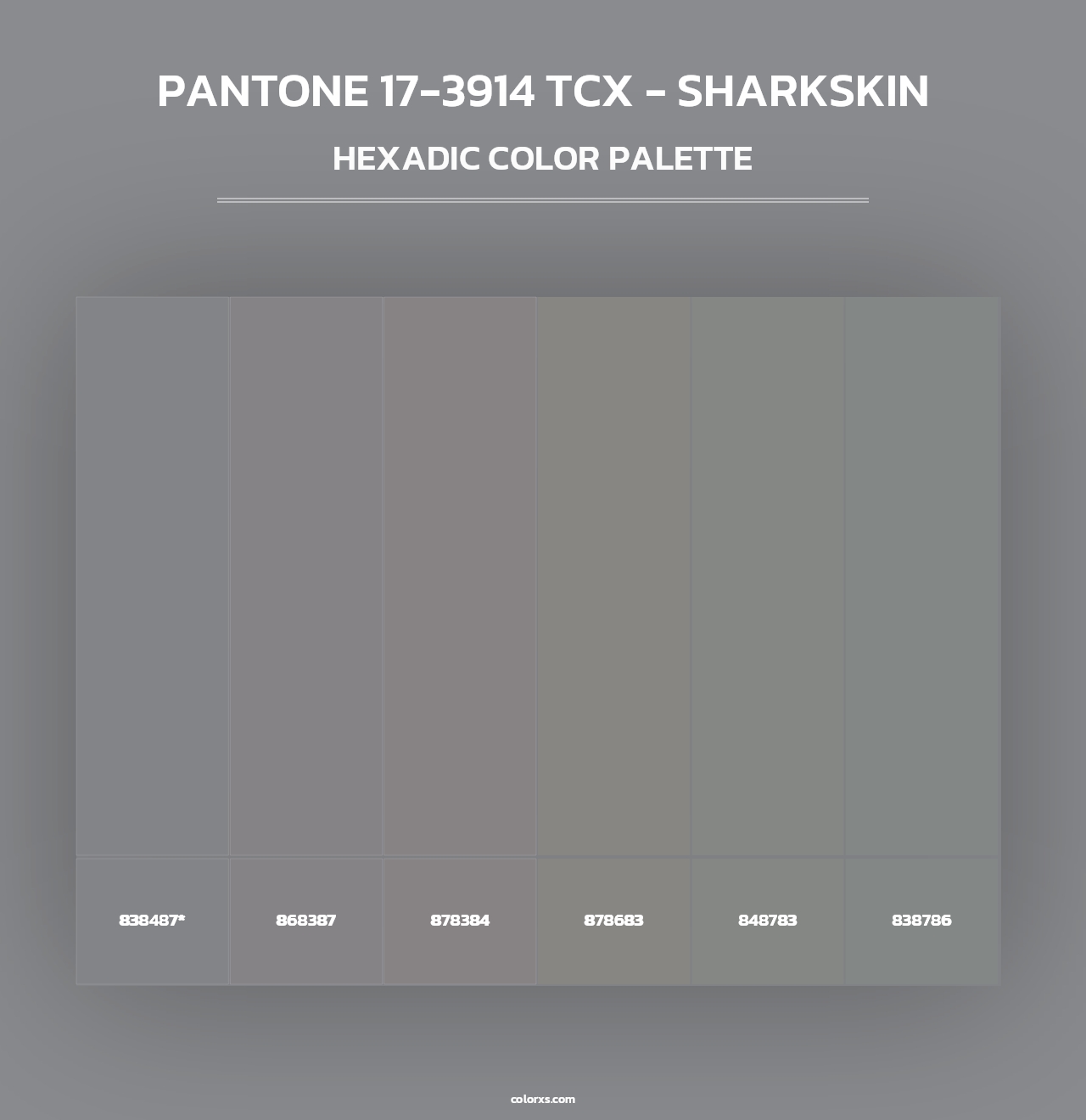 PANTONE 17-3914 TCX - Sharkskin - Hexadic Color Palette