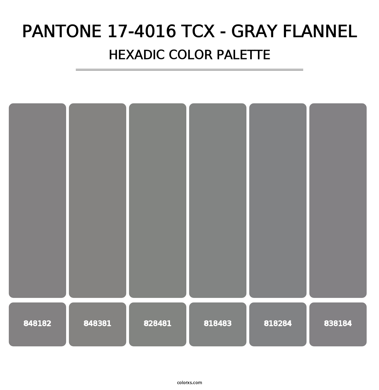 PANTONE 17-4016 TCX - Gray Flannel - Hexadic Color Palette